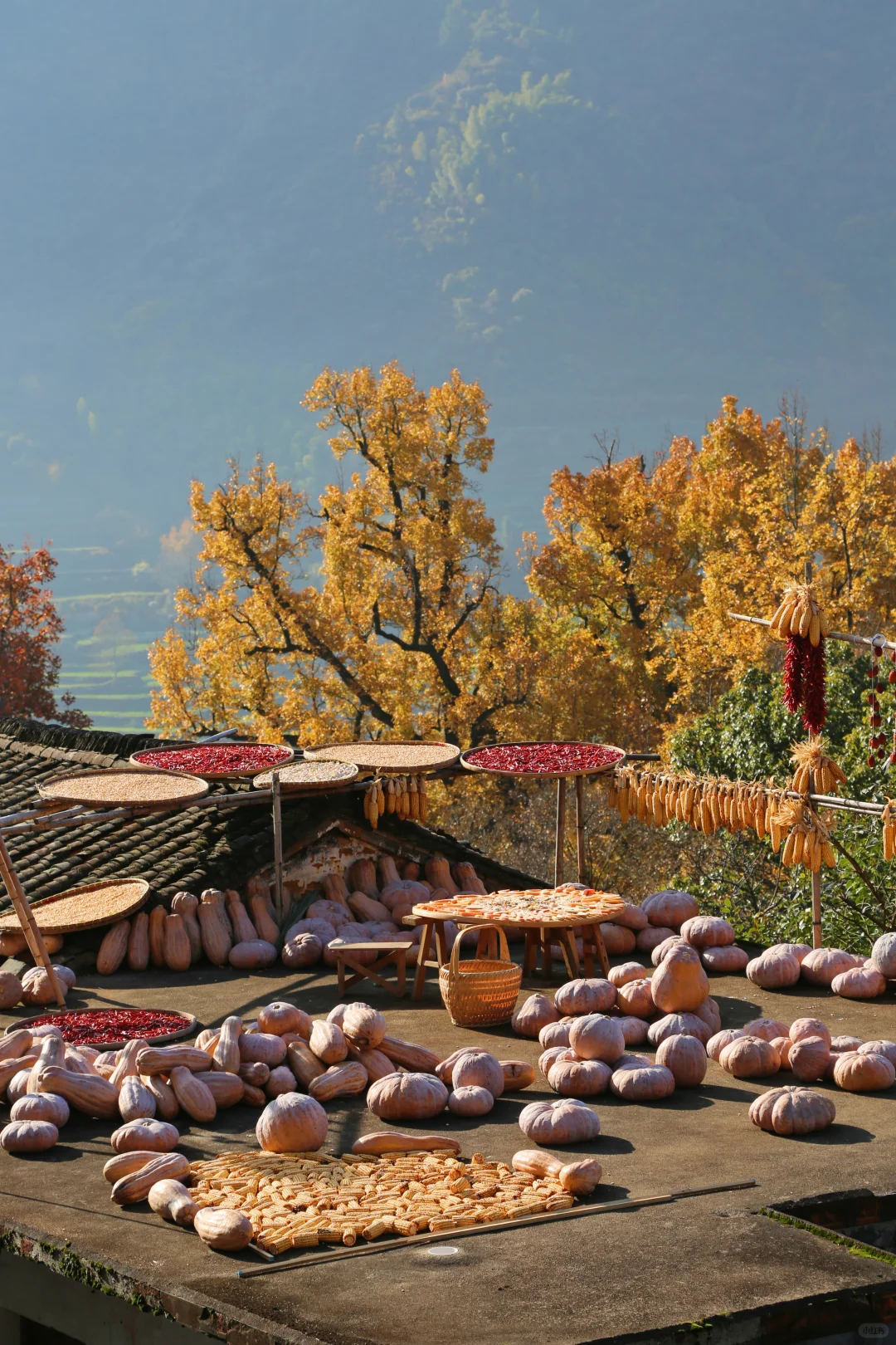 听劝！本地人强推12月来婺源篁岭！