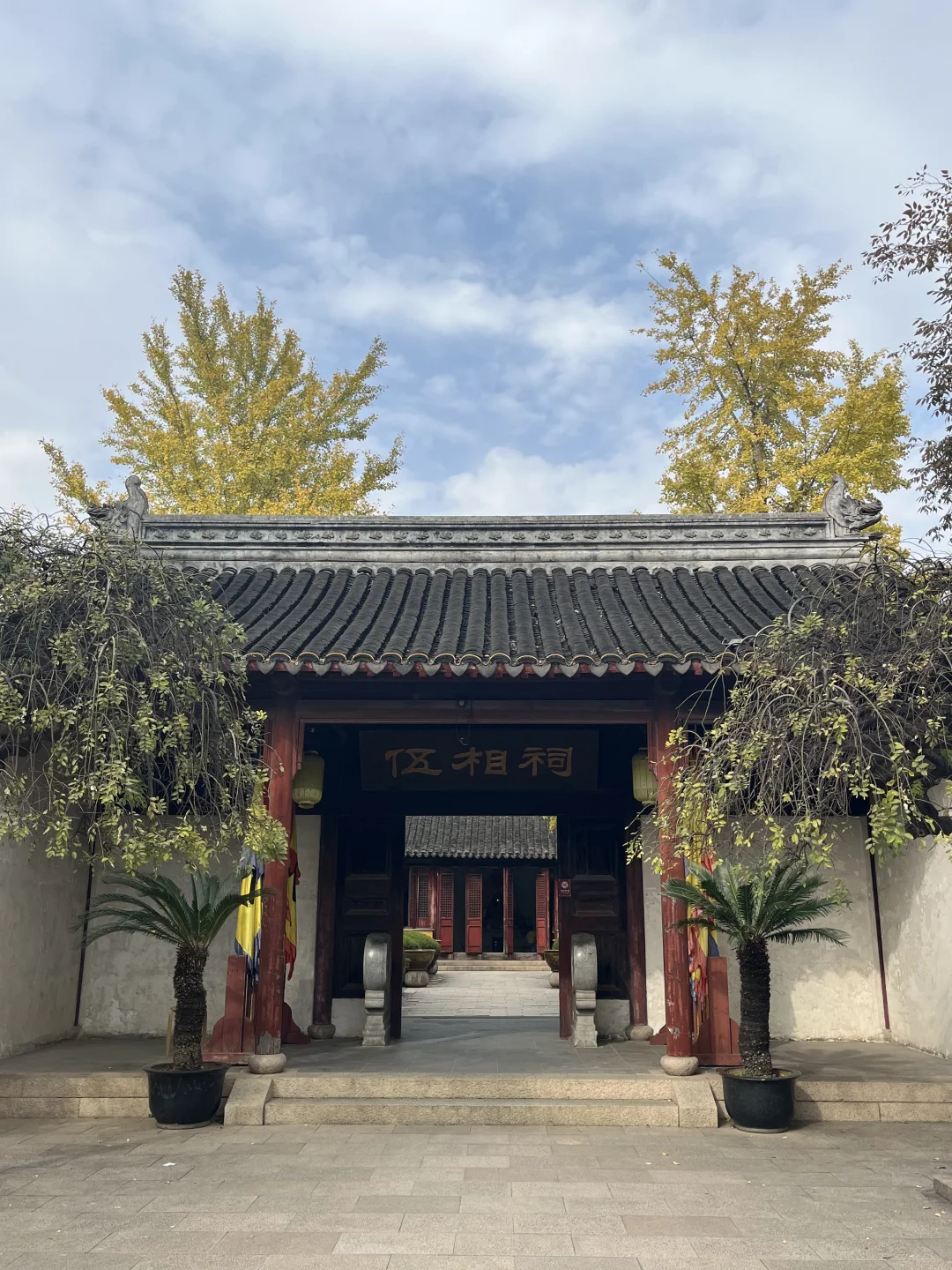 盘门的银杏黄了