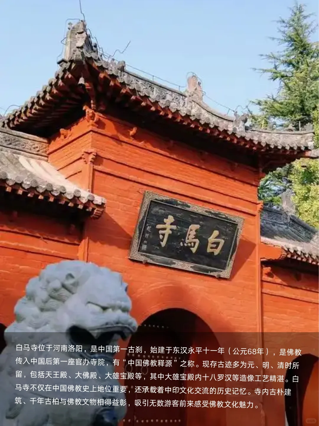 🏰穿越千年古都，洛阳必打卡的8大绝美景点✨