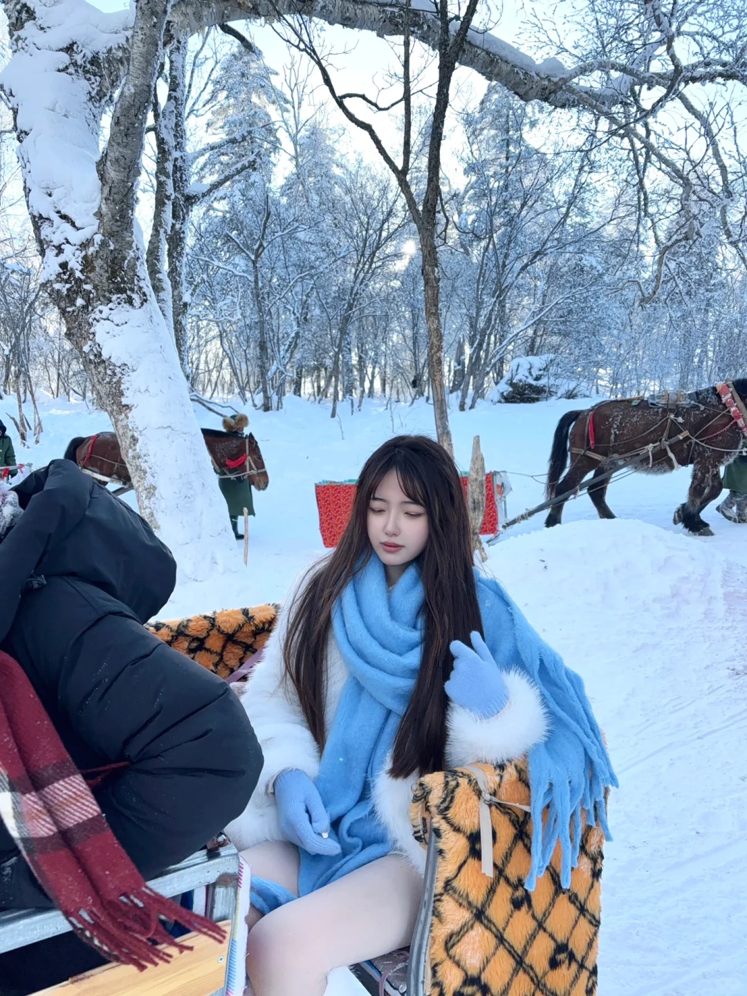 2.9📍雪岭驯鹿园 美晕❄️