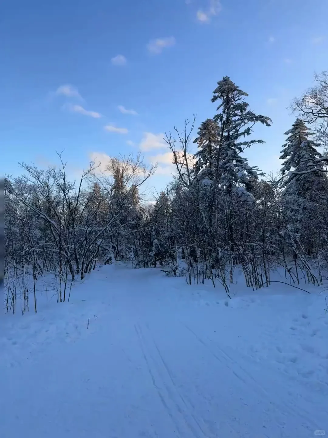 不是长白山去不起，而是伊春更有性价比