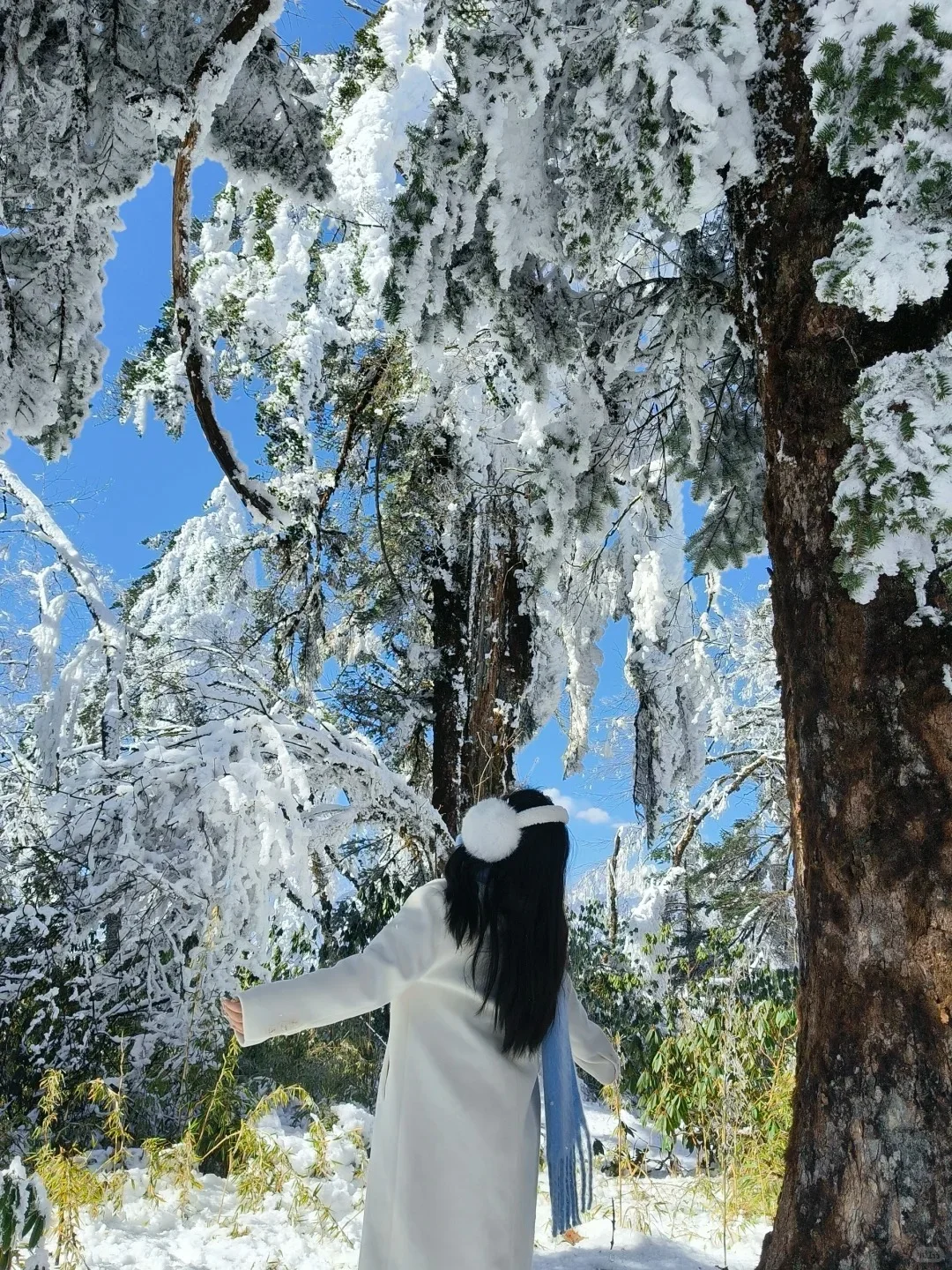 王岗坪📍99%人不知道的川西玩雪秘境