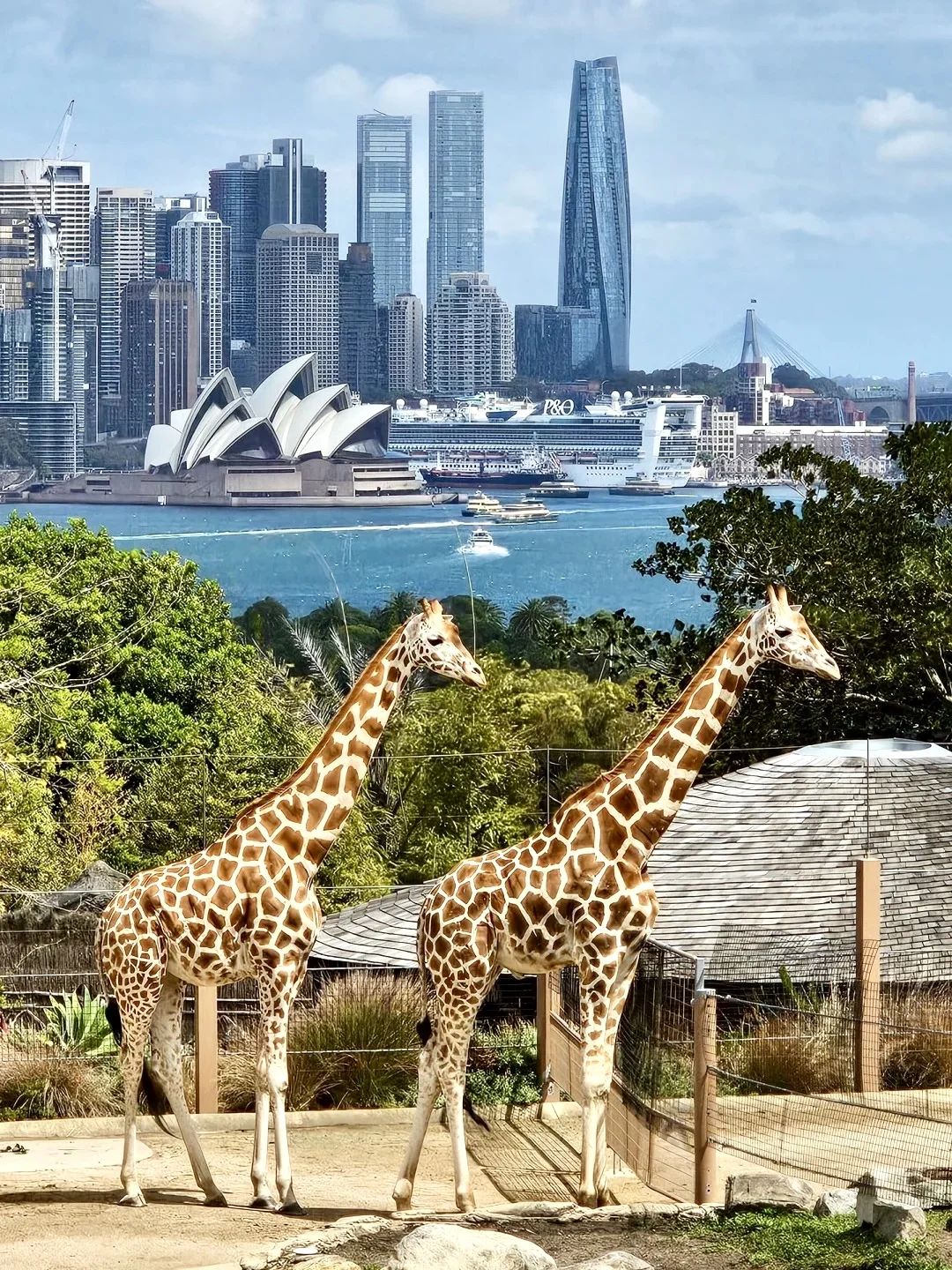 吐血整理!悉尼30个必打卡景点(下)