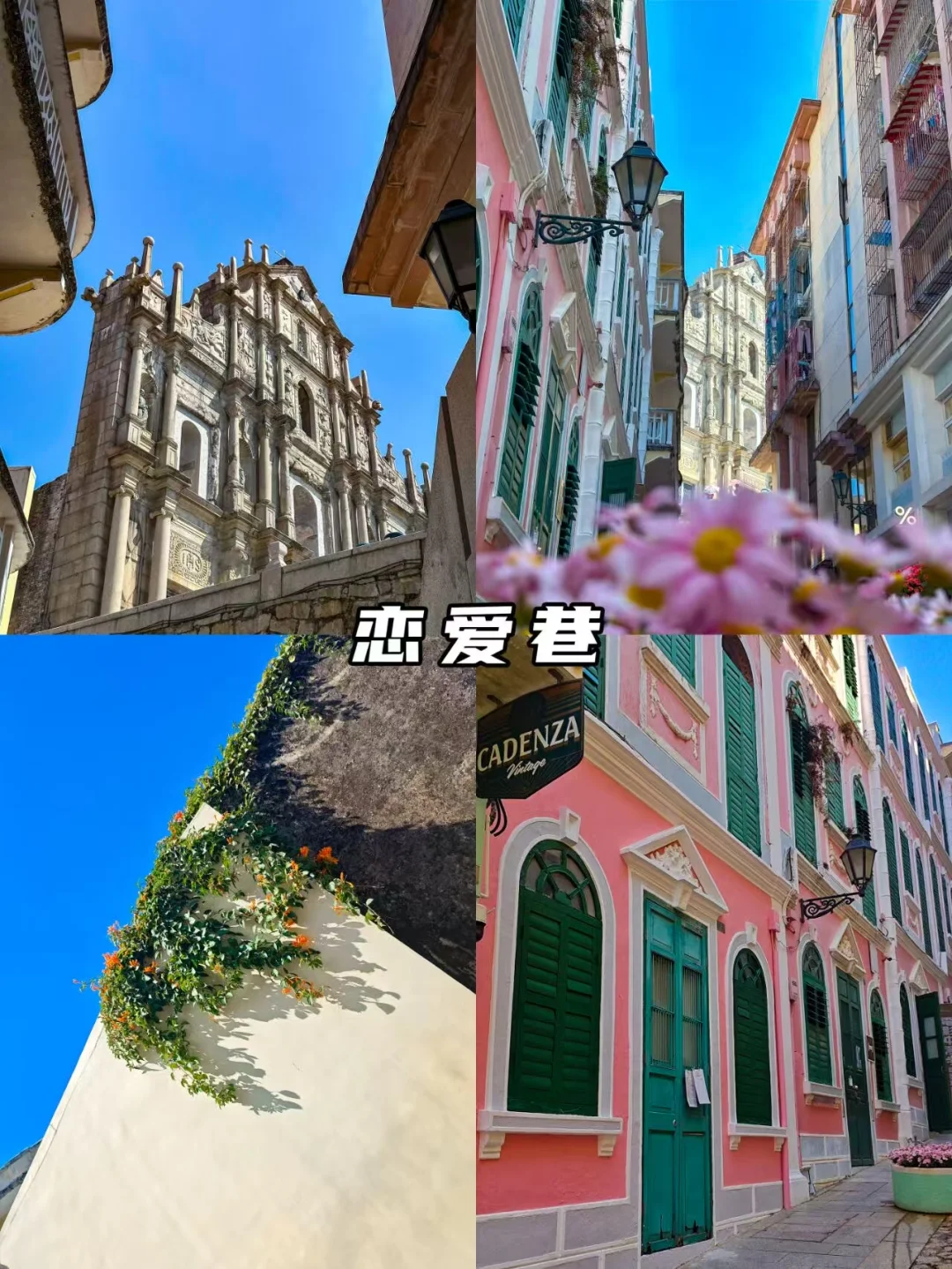 码住❗️澳门深度一日游超详细攻略