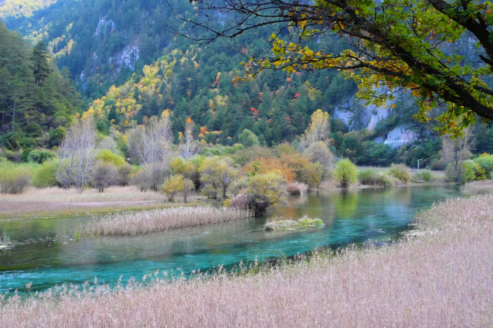 九寨沟特种兵旅游攻略