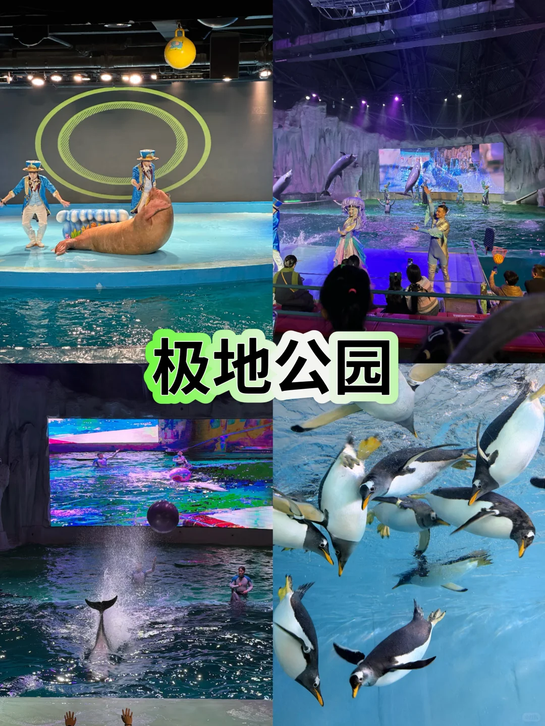 哈尔滨懒人必玩攻略·打卡不绕路