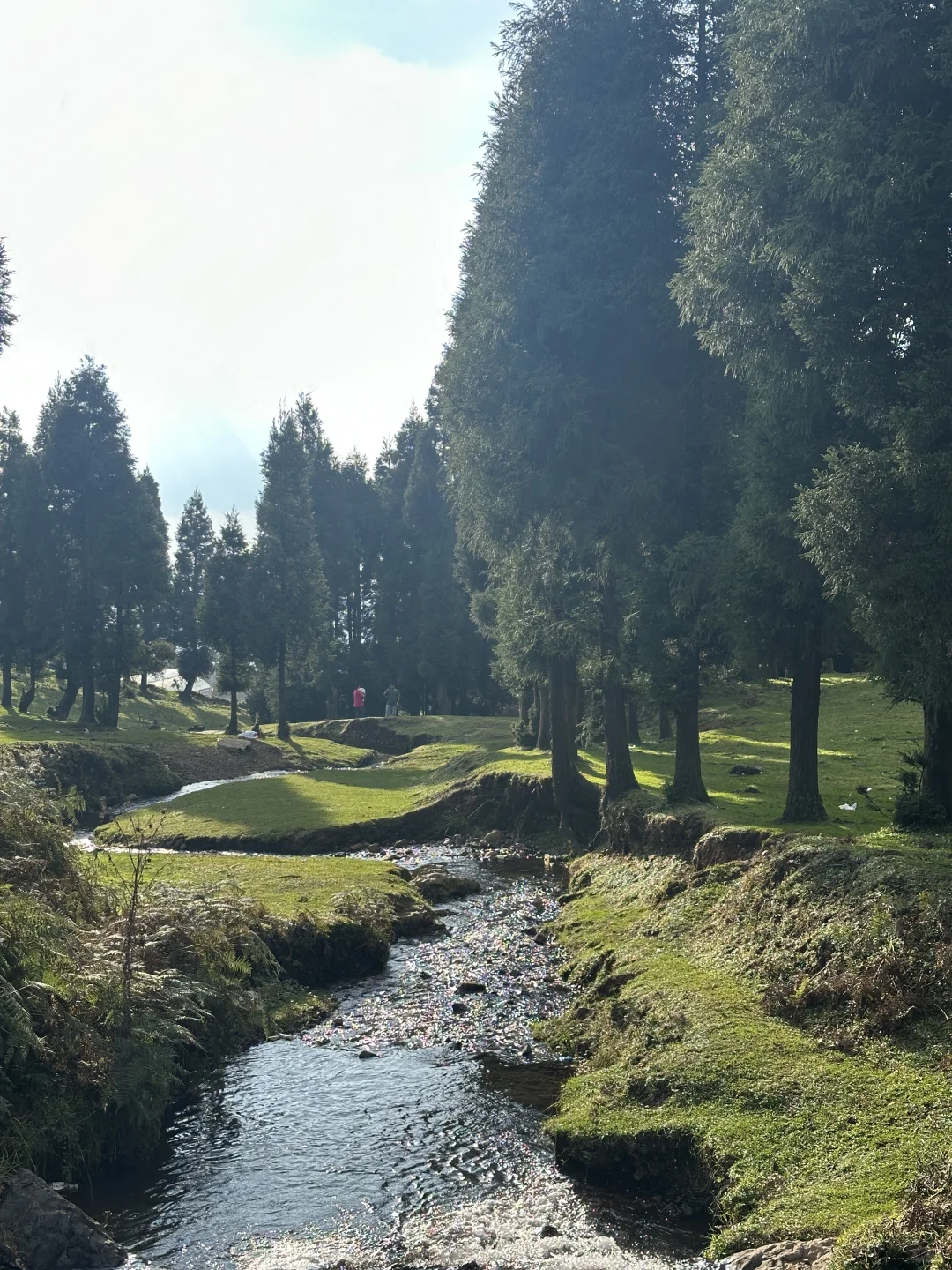 贵州你糊涂呀！贵州人的“阿勒泰”你不宣传？