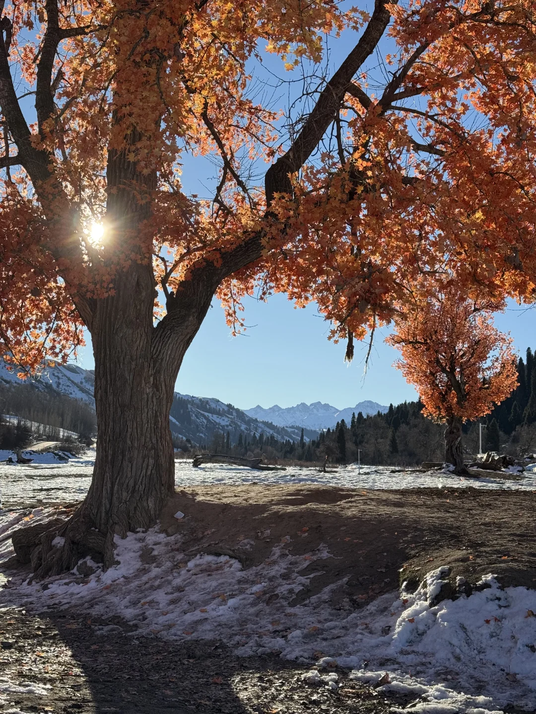 深圳打工人周末去赛里木湖+库尔德宁+八卦城