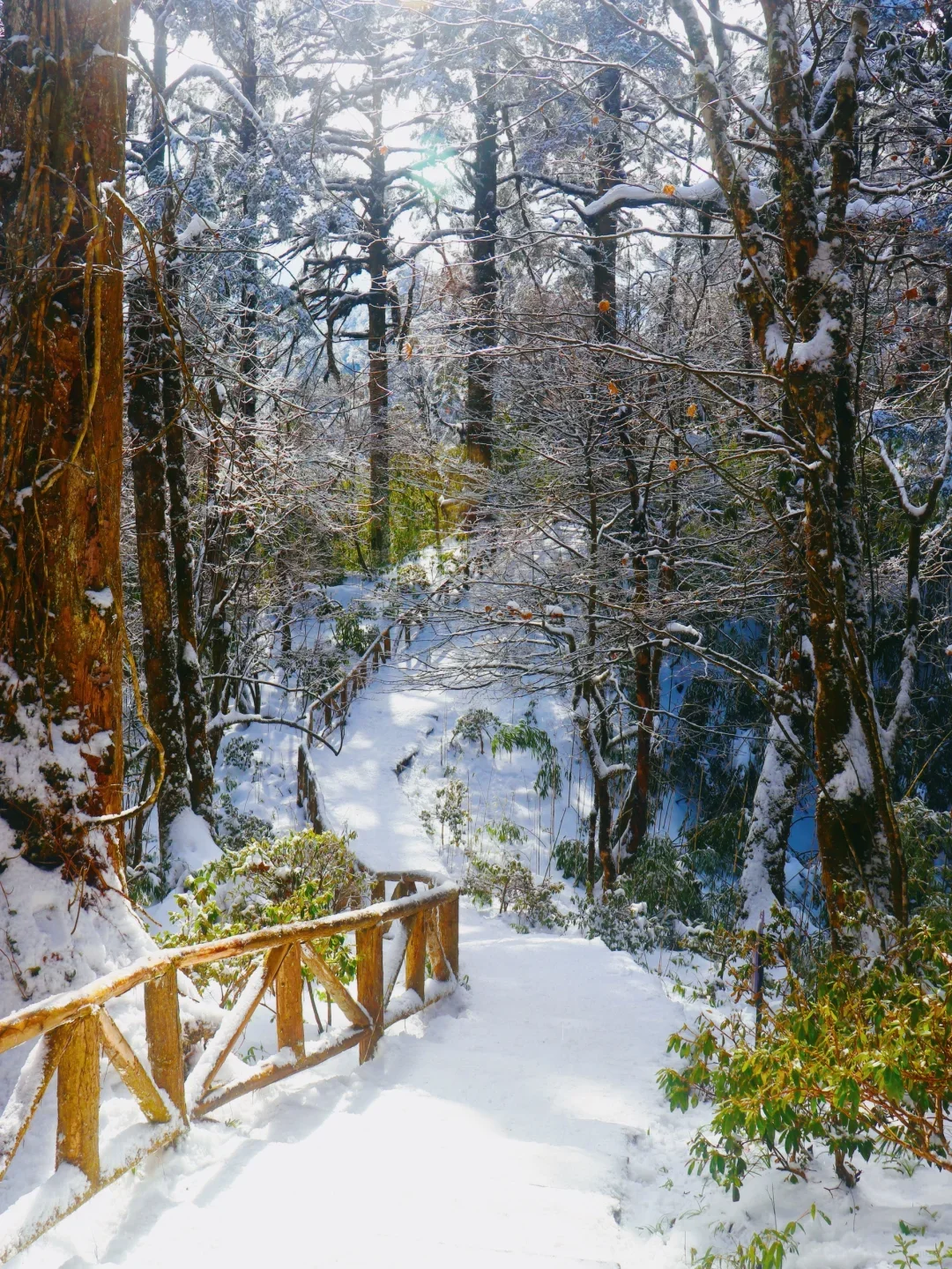 不用去川西也能玩雪！