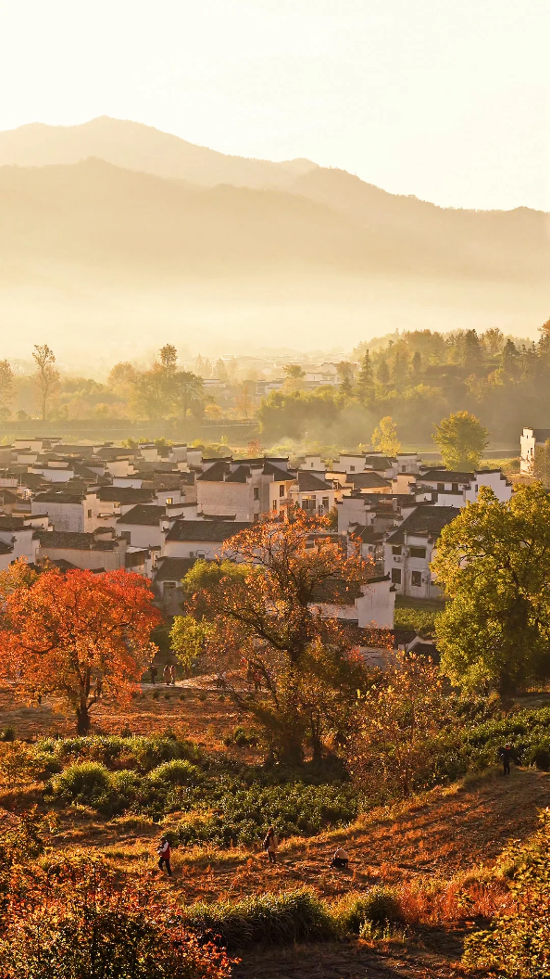 黄山之行｜感觉自己是天生的旅游圣体✨
