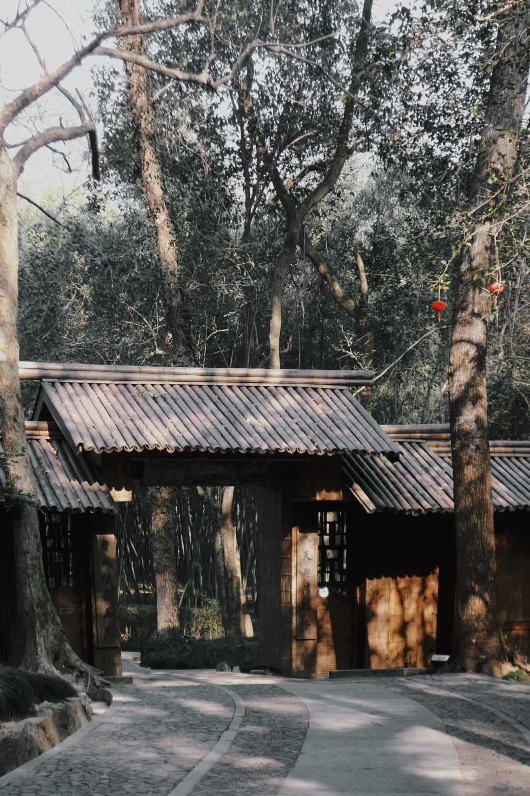 绍兴🍂一个人的冬天旅行