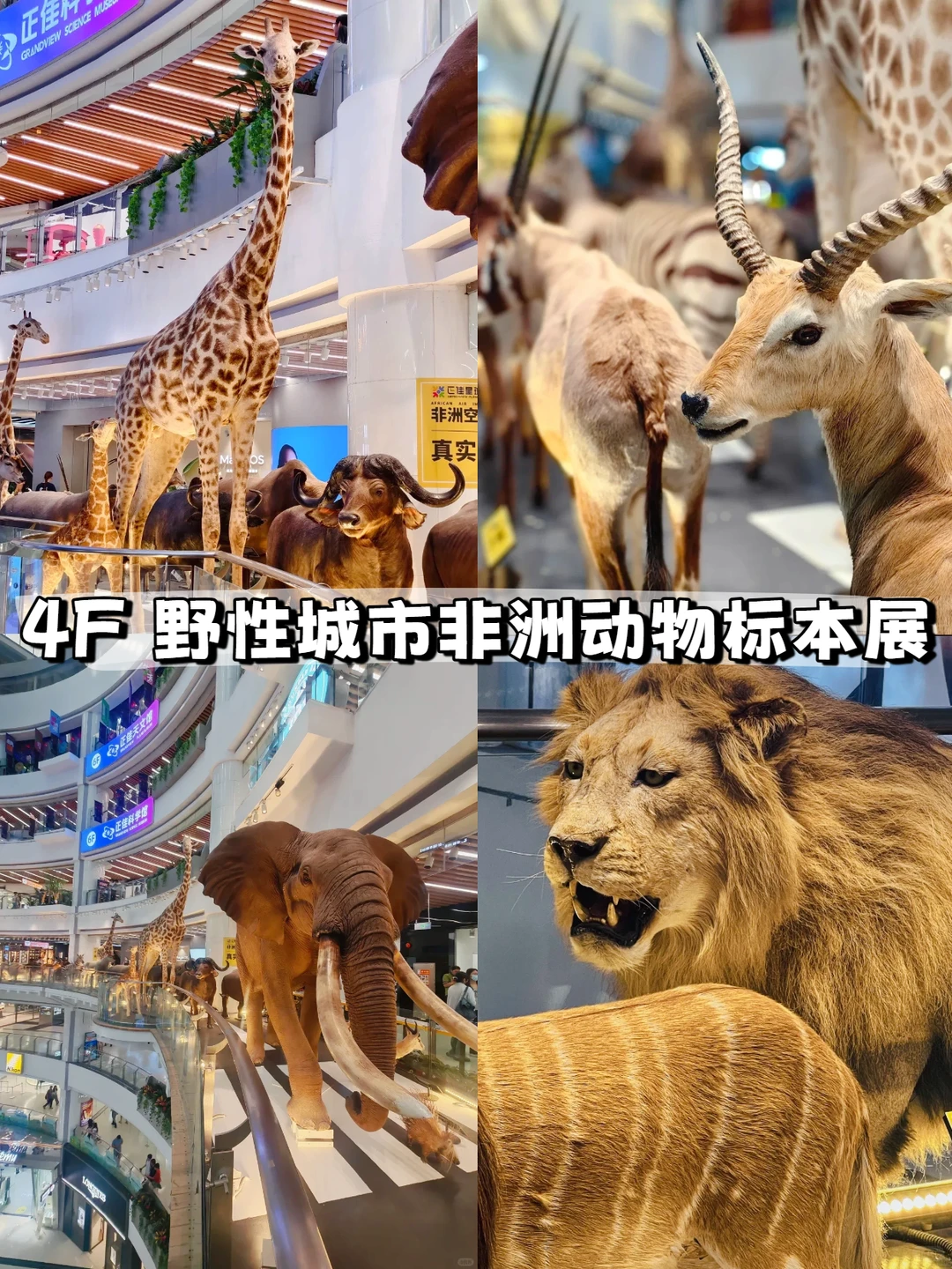 4A景区遛娃‼️广州正佳广场超全攻略