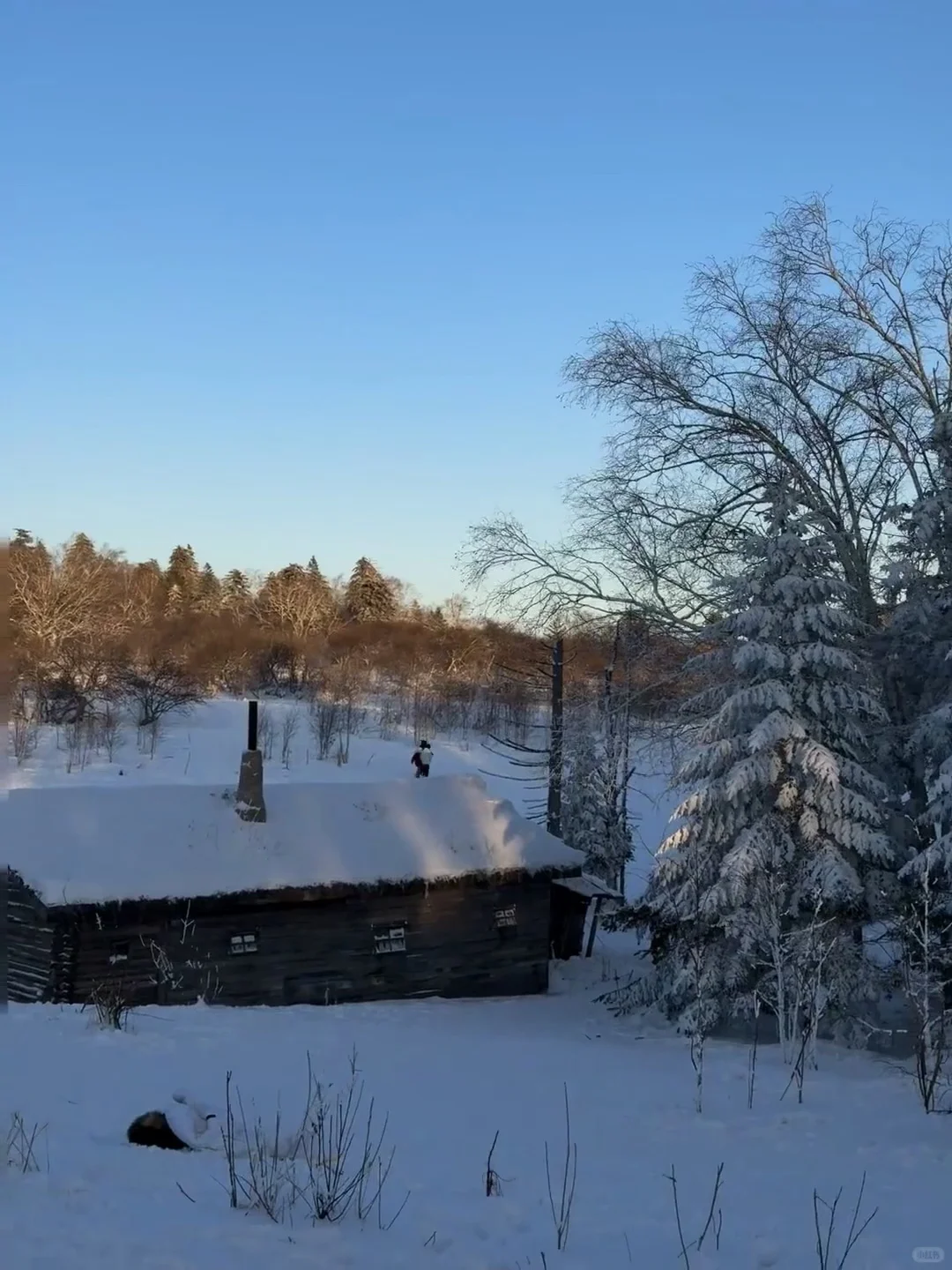 不是长白山去不起，而是伊春更有性价比