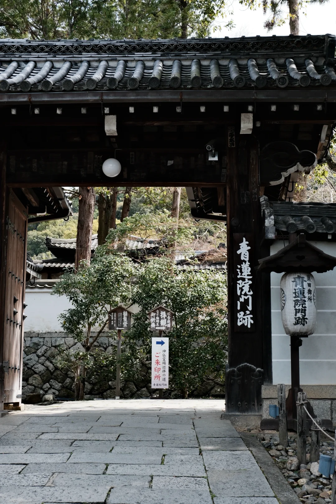 目前为止最喜欢的四个旅行城市