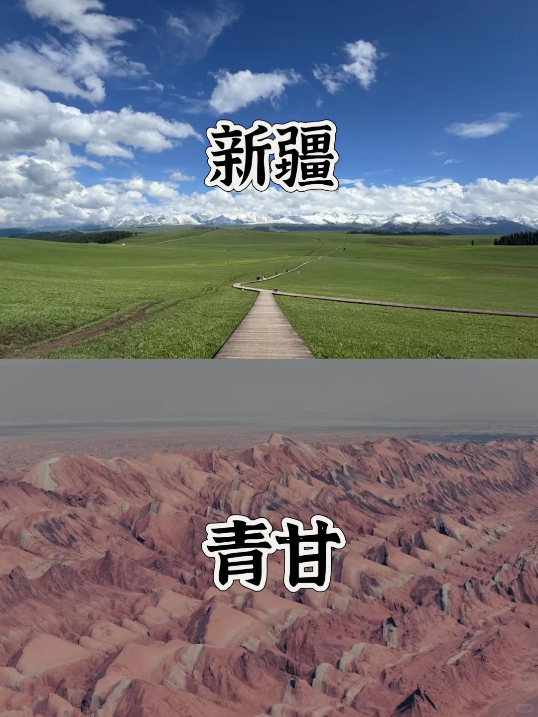 青甘大环线和新疆，6-8月去哪个好？先看完