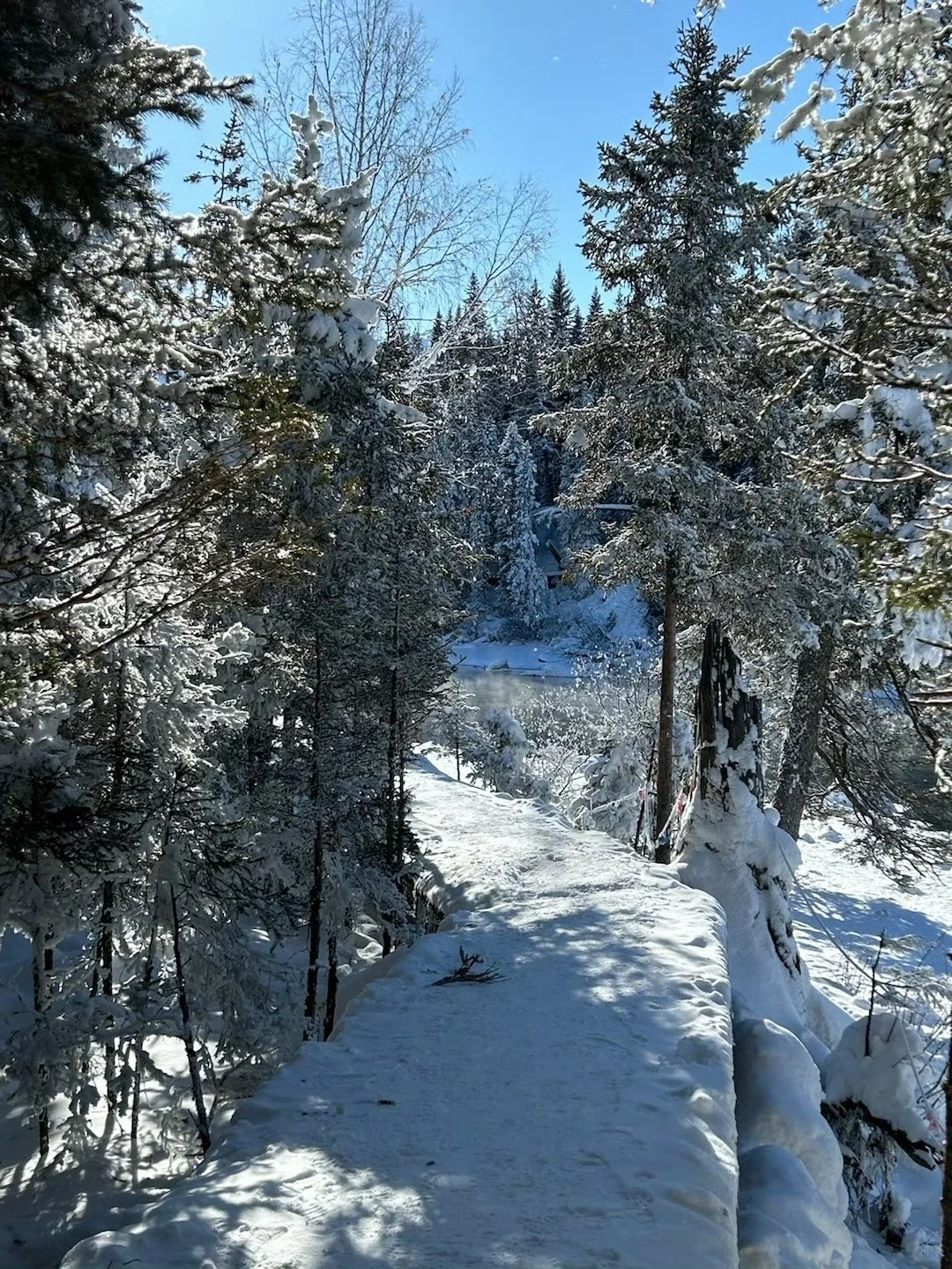 阿勒泰去年12月实拍,😅尽早改行程吧