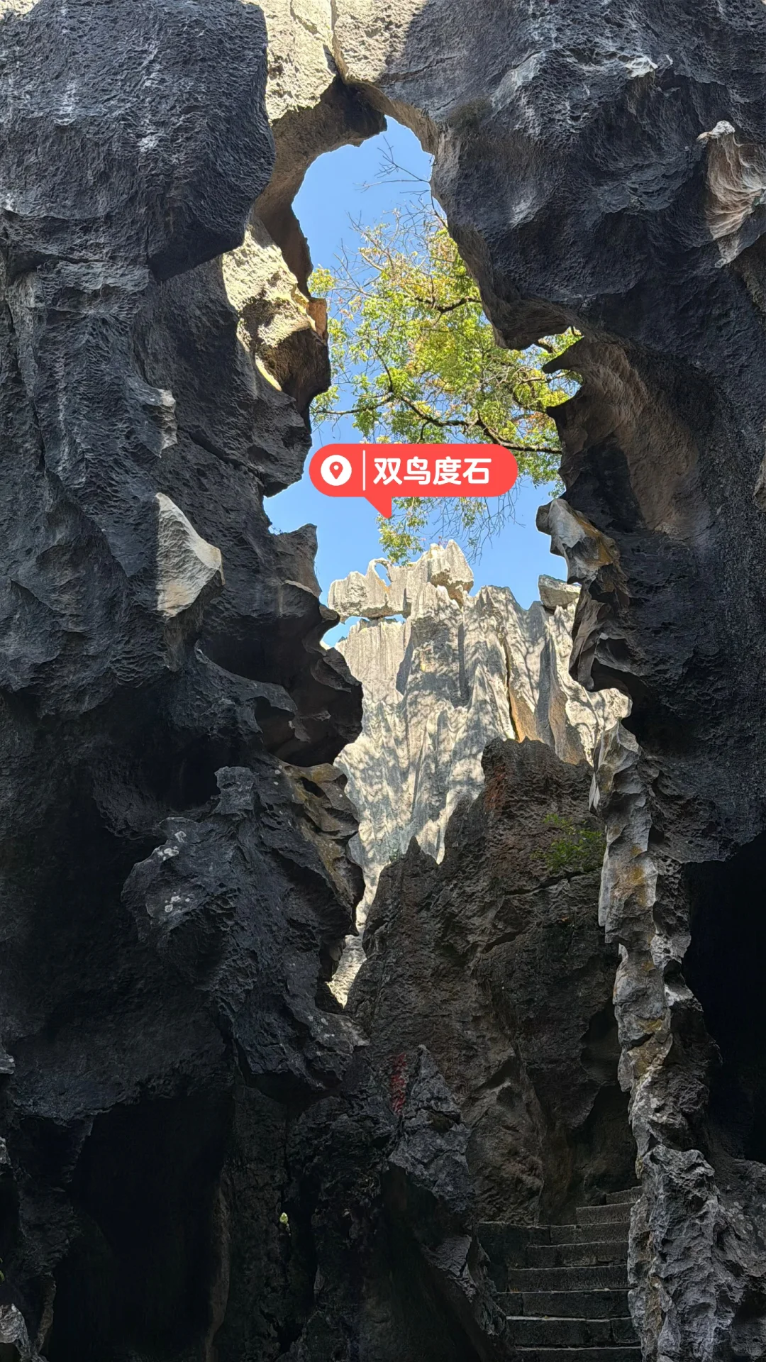 昆明|石林📍 钻进亿年石头缝里探险也太酷了