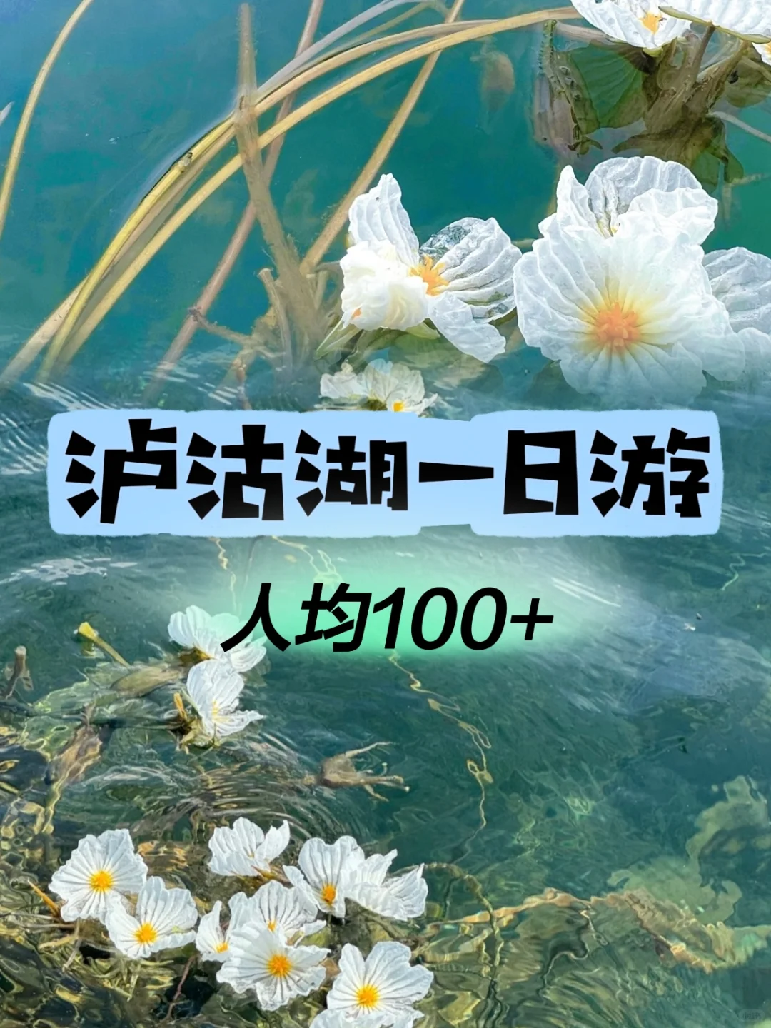 🌟再不来泸沽湖 错过又要等一年｜人均100