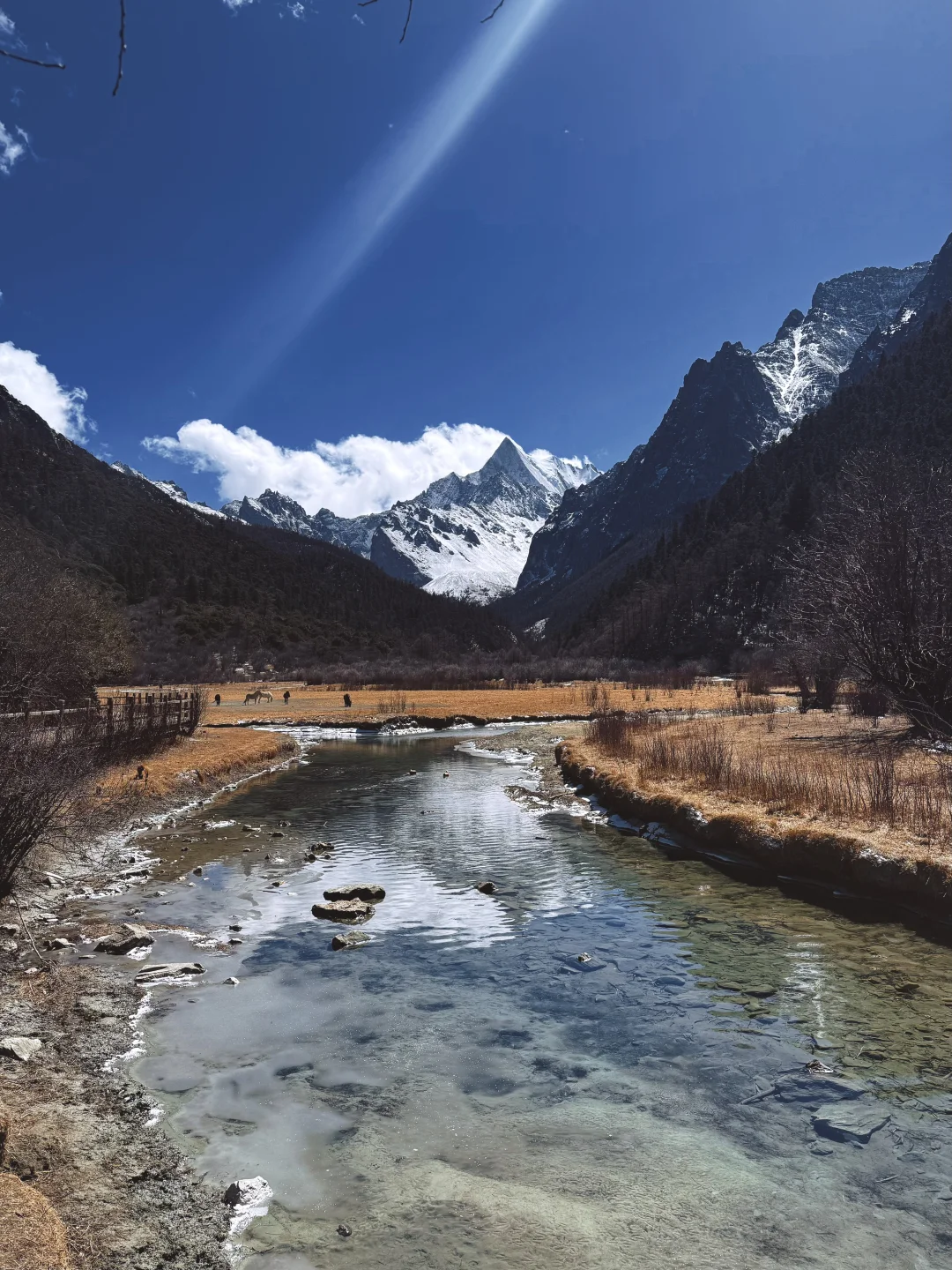 3月3号的稻城亚丁,川西实在劝退不了