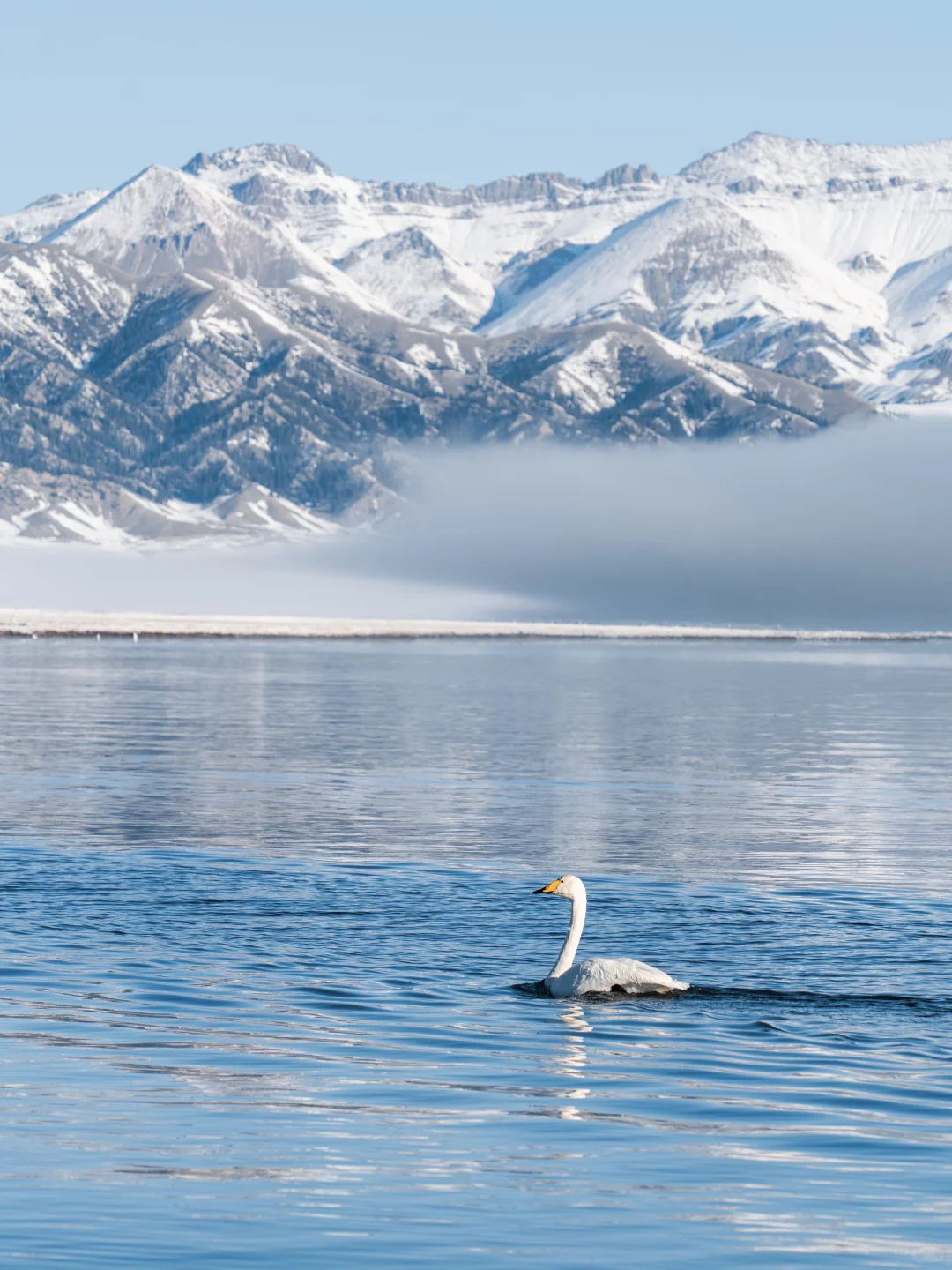 深圳打工人周末去赛里木湖+库尔德宁+八卦城