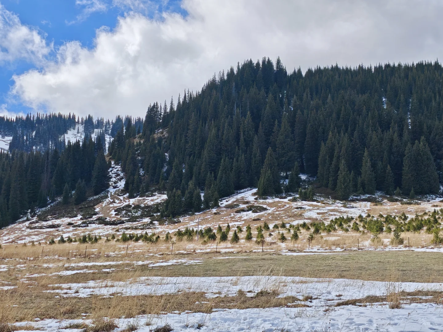 赛里木湖 | 掉进人间的蓝宝石💎美到窒息
