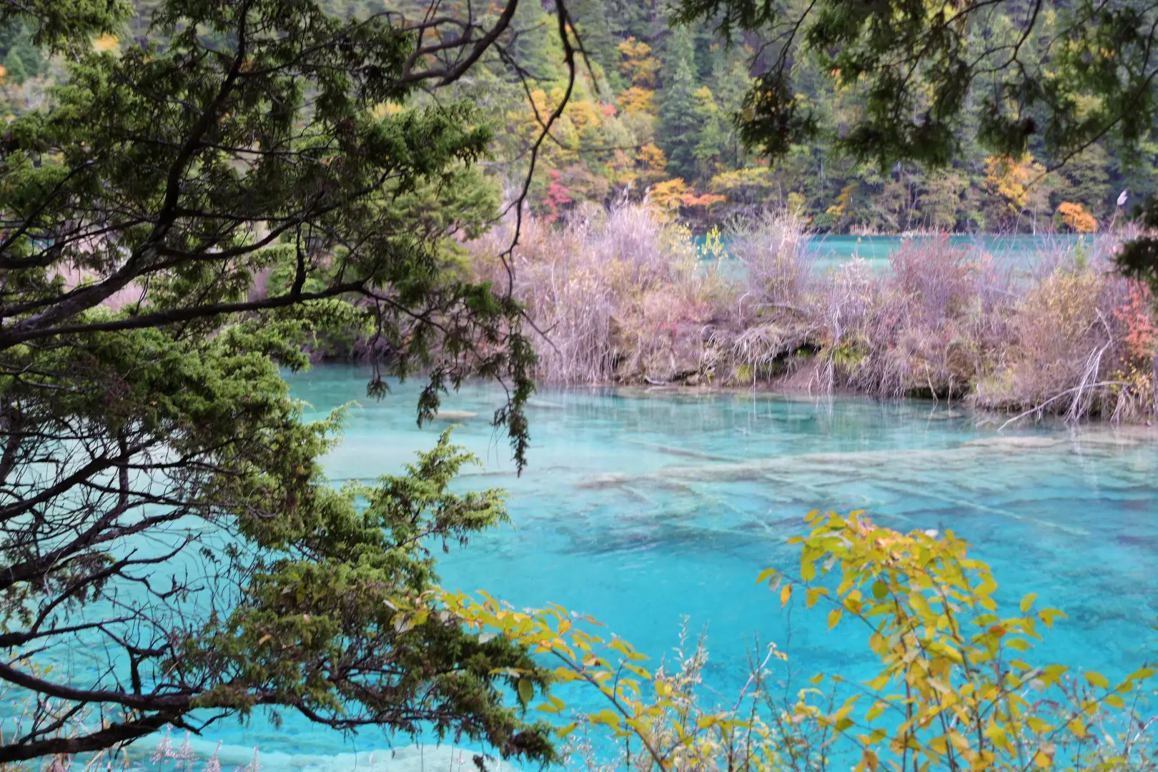 九寨沟特种兵旅游攻略