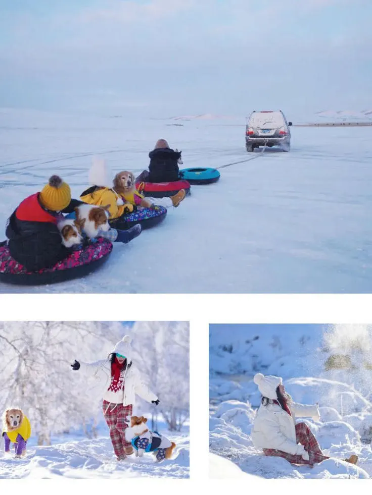 带狗去草原玩雪！越野车+泡温泉