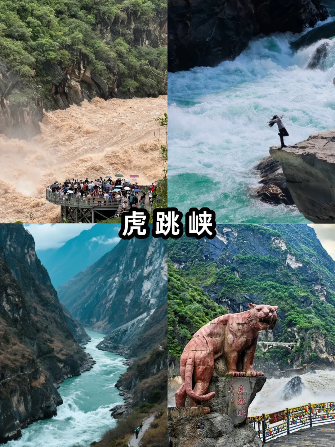 香格里拉精华一日游 一天打卡5大景点🔥