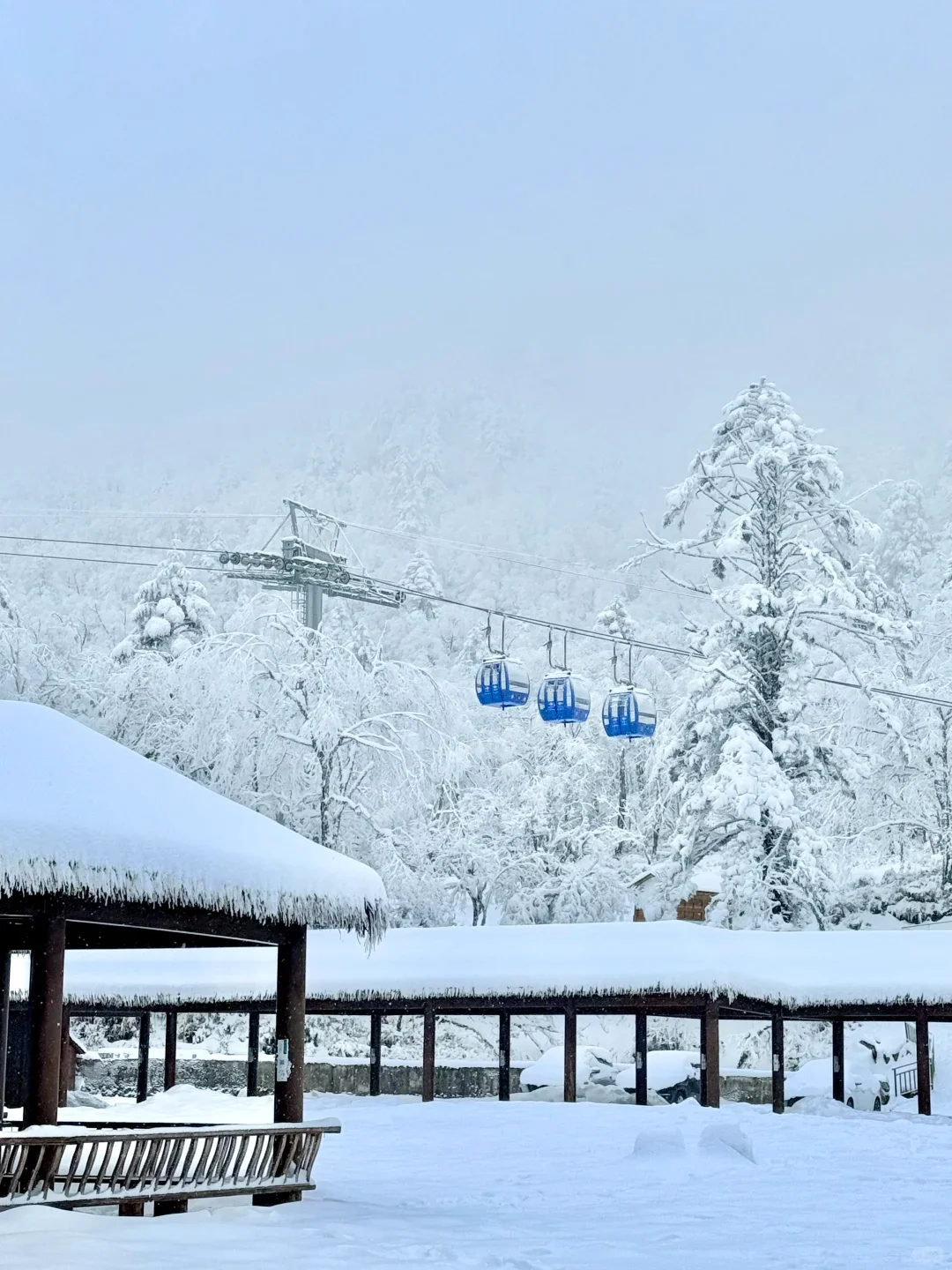 不用去川西也能玩雪！