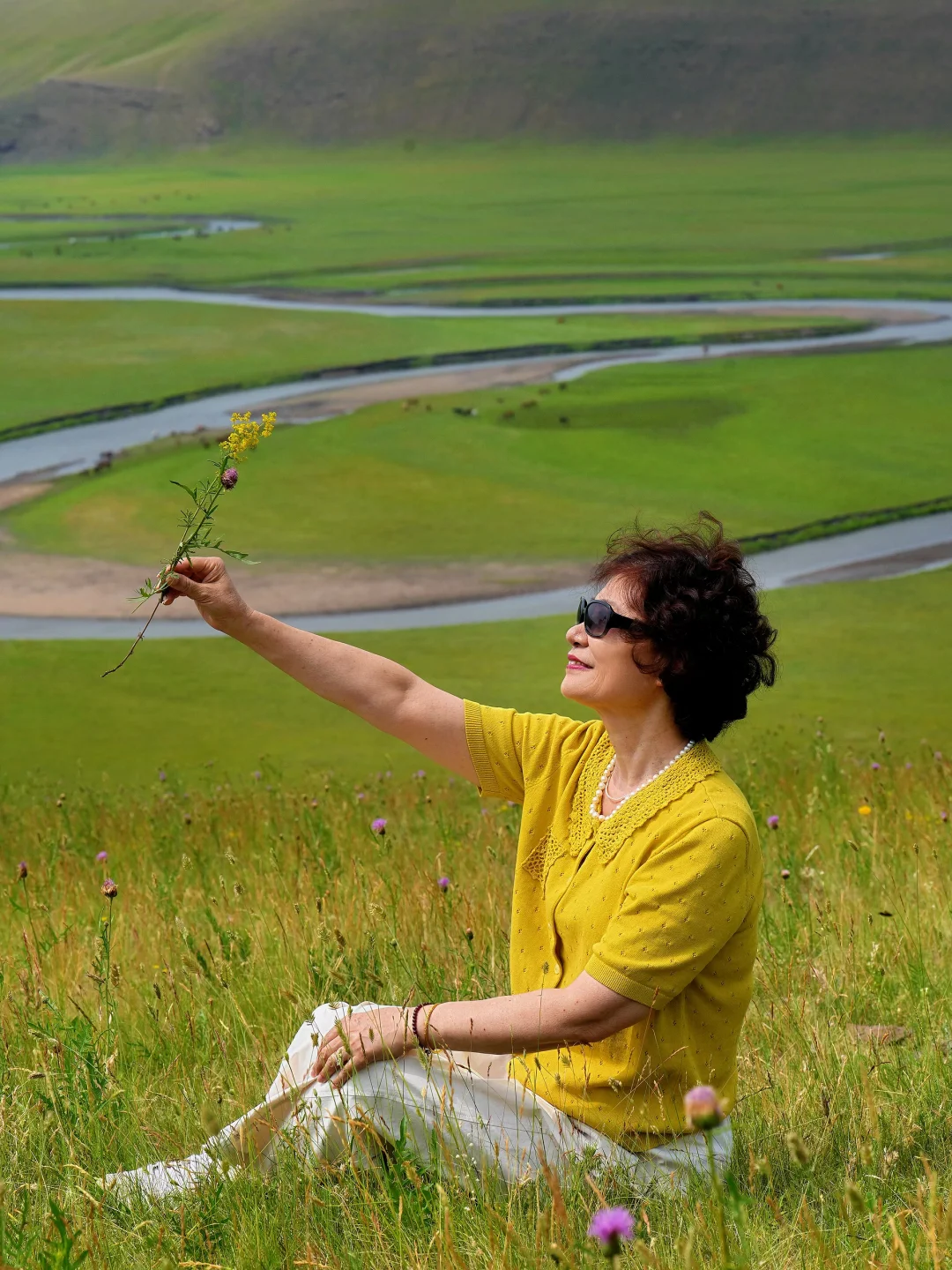 退休后的一次远行，到了梦中的草原