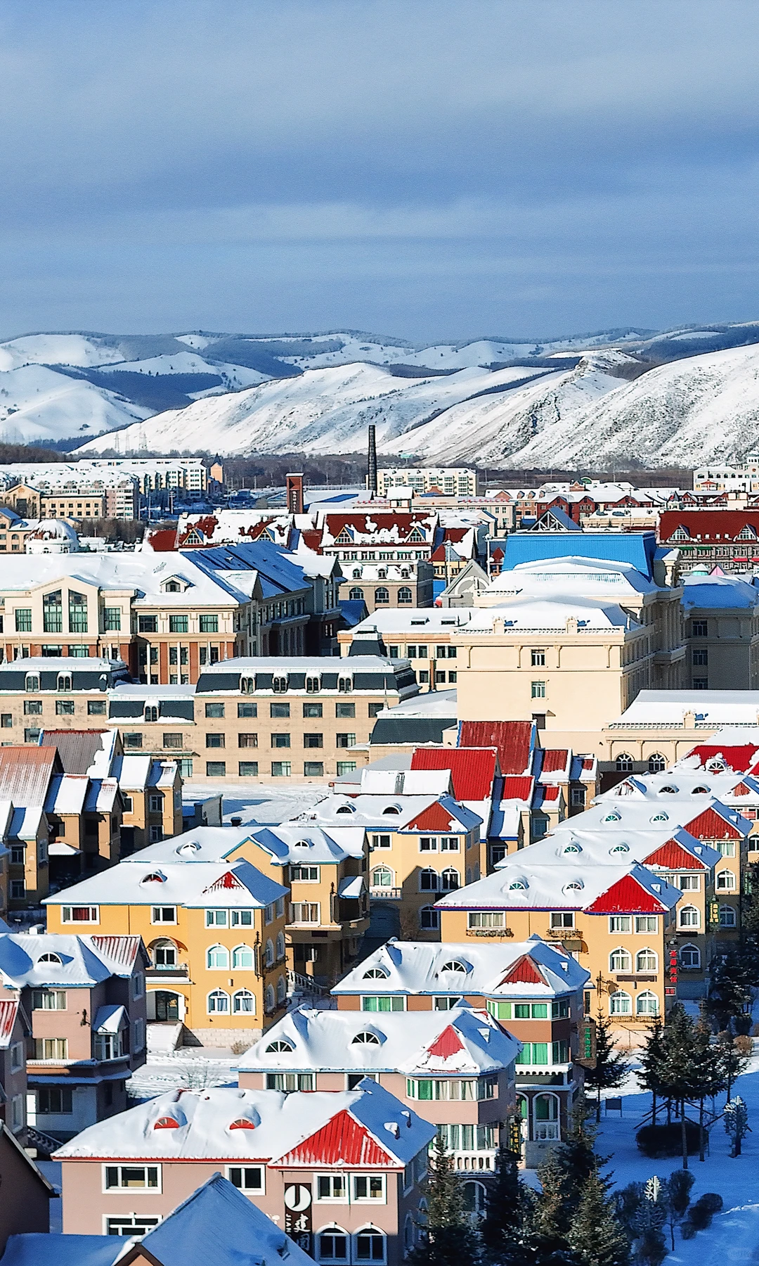 去啥国外！冬天内蒙才真封神❄️童话照进现实