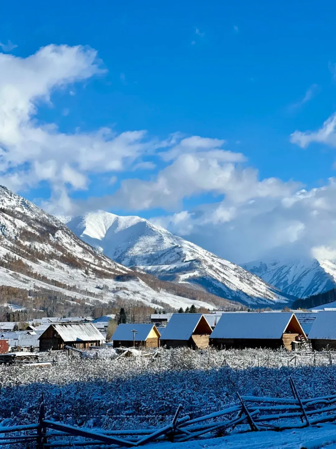 阿勒泰去年12月实拍,😅尽早改行程吧