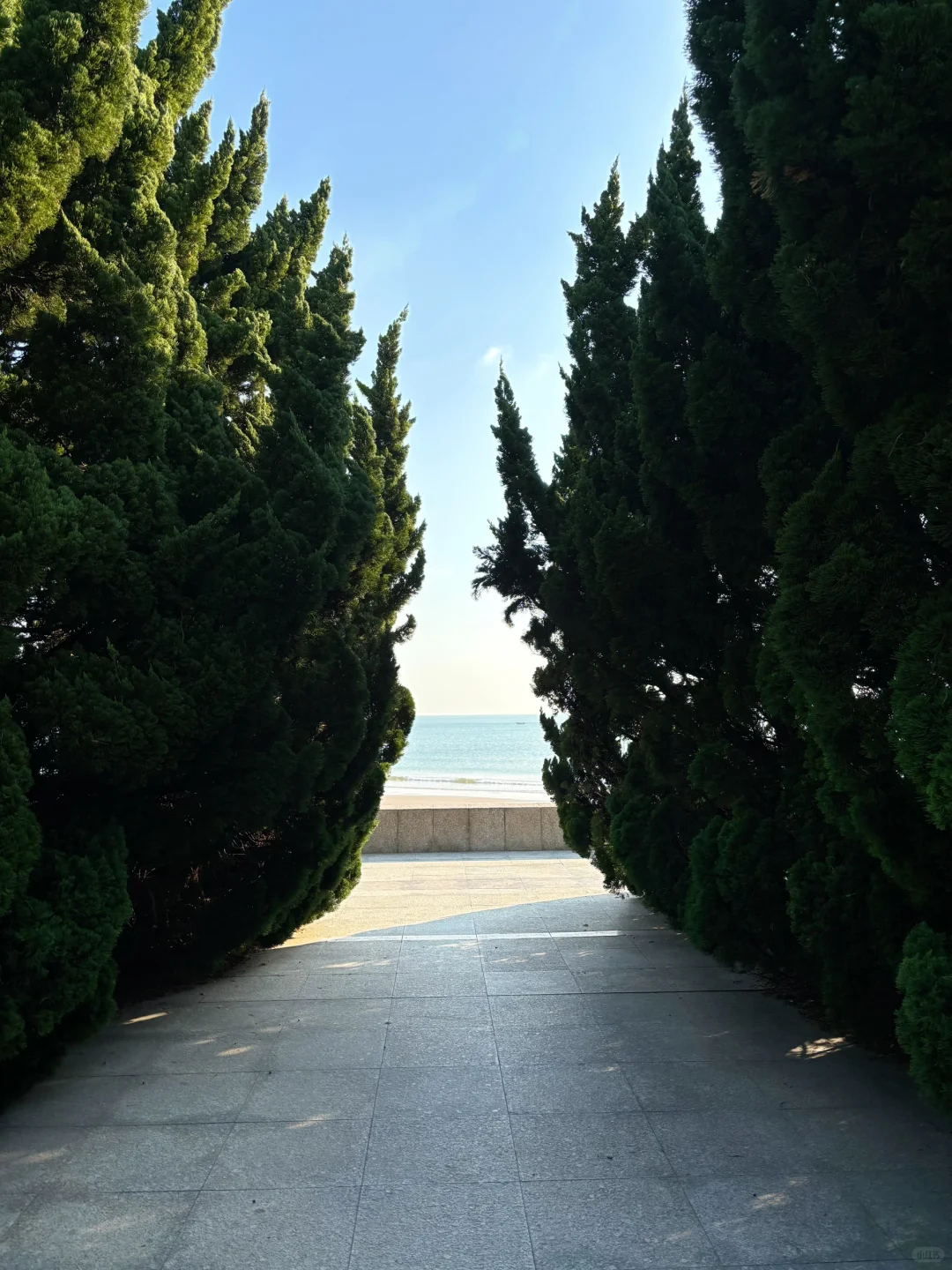 冬天一定要去一次青岛！（人均1.5k行程分享）