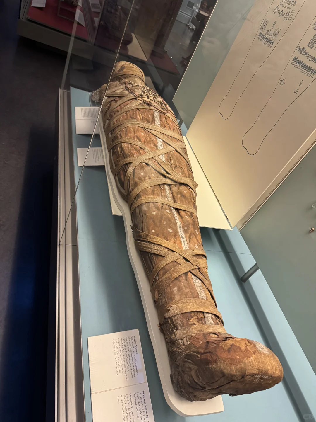 英国伦敦🇬🇧