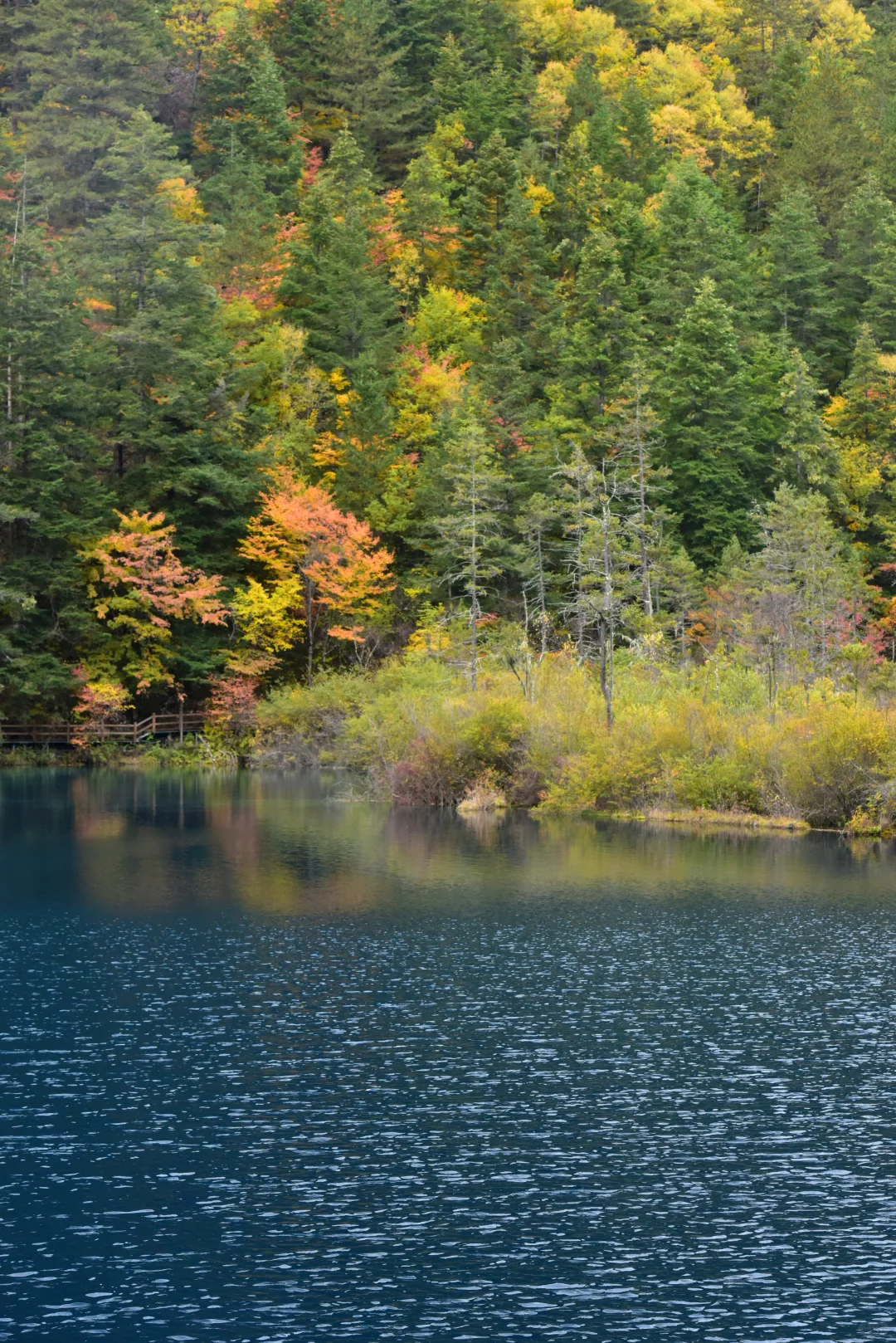 九寨沟特种兵旅游攻略