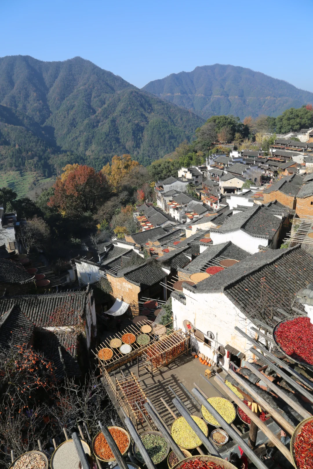 听劝！本地人强推12月来婺源篁岭！