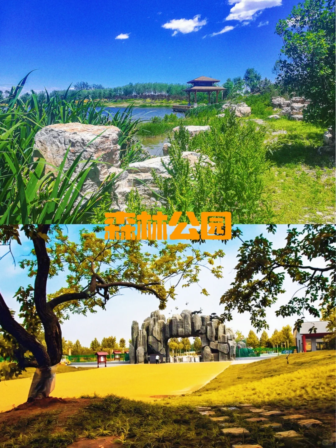 【🔥商丘9大必打卡景点 | 穿越五千年】