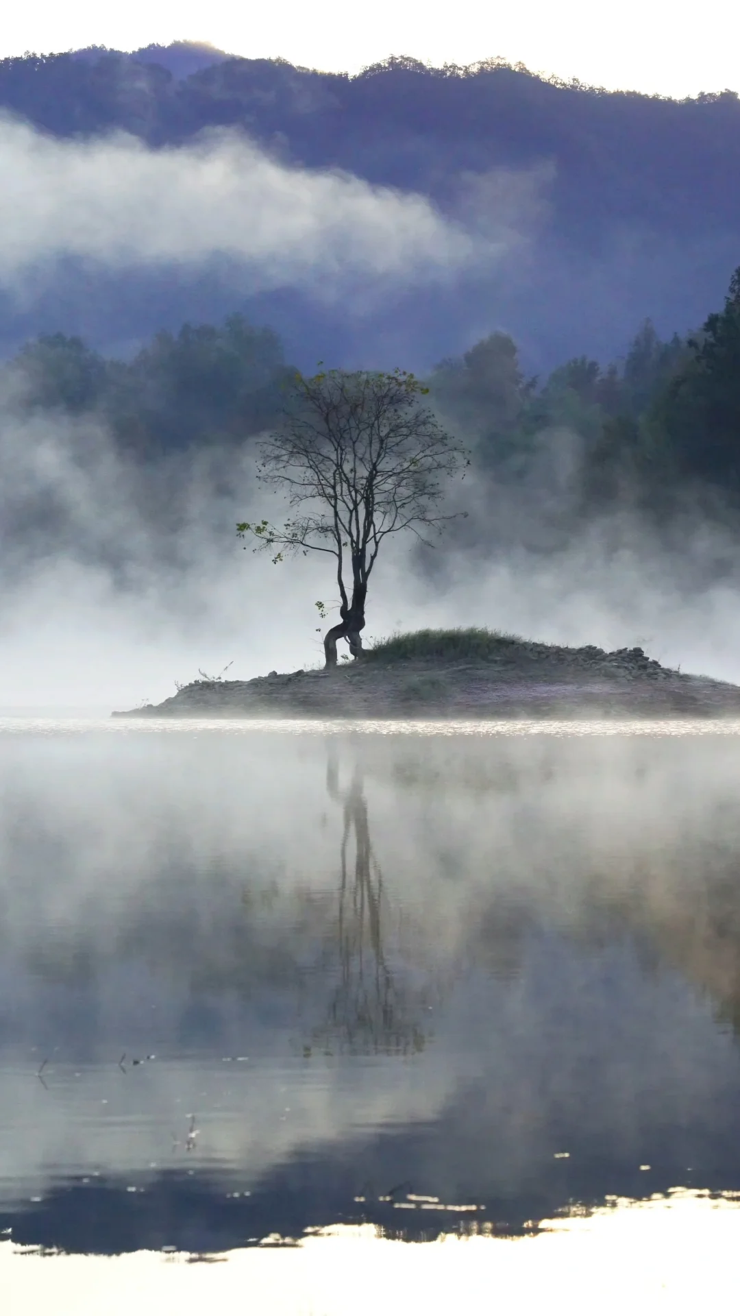黄山之行｜感觉自己是天生的旅游圣体✨