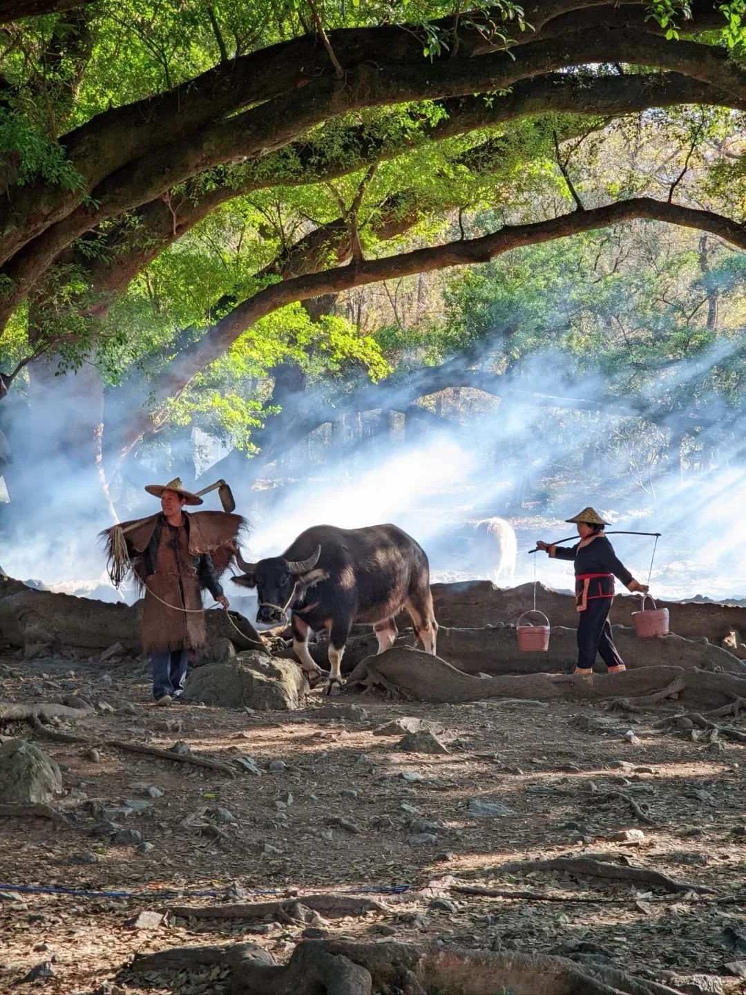 霞浦秋游｜11-12月淡季海岛才是治愈天花板❗️