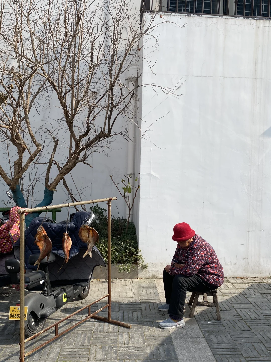 绍兴🍂一个人的冬天旅行