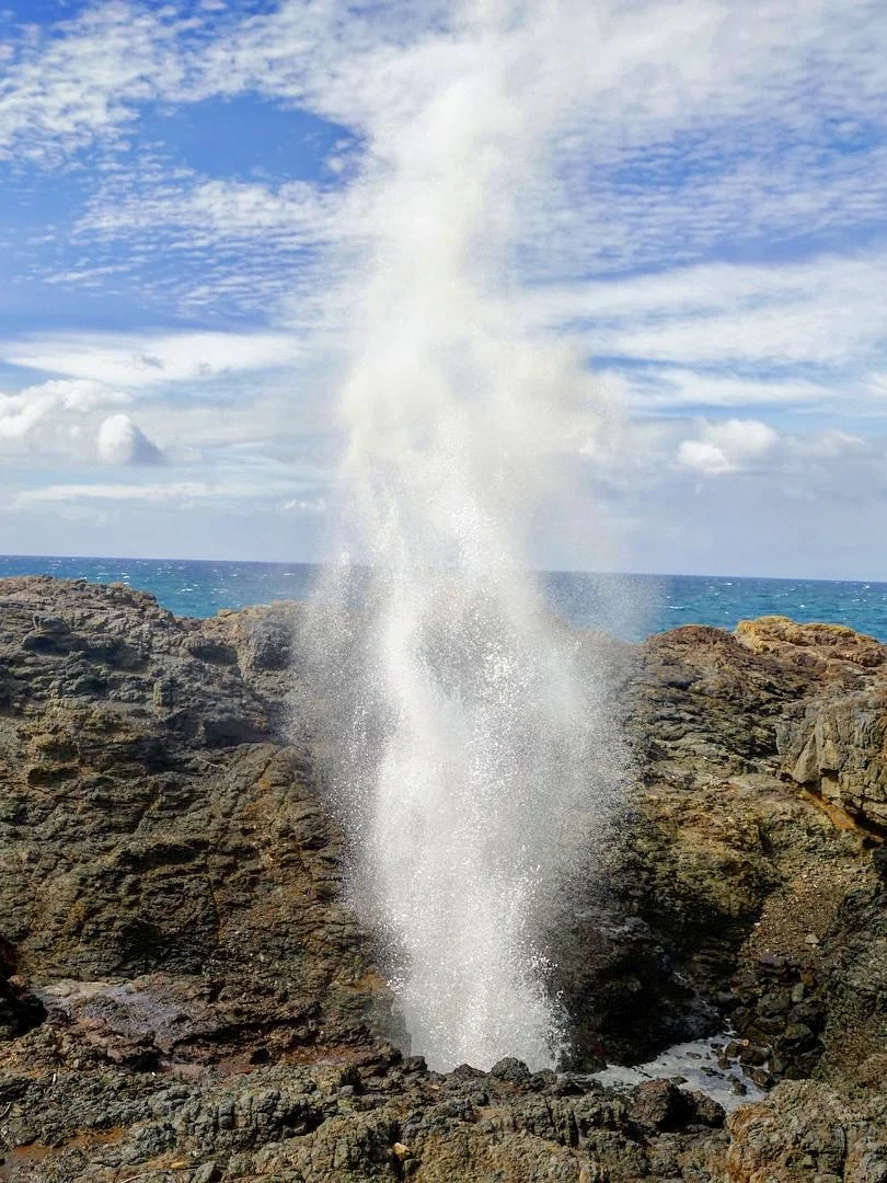 吐血整理!悉尼30个必打卡景点(下)