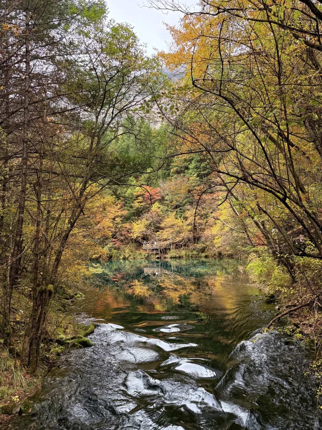 九寨沟特种兵旅游攻略
