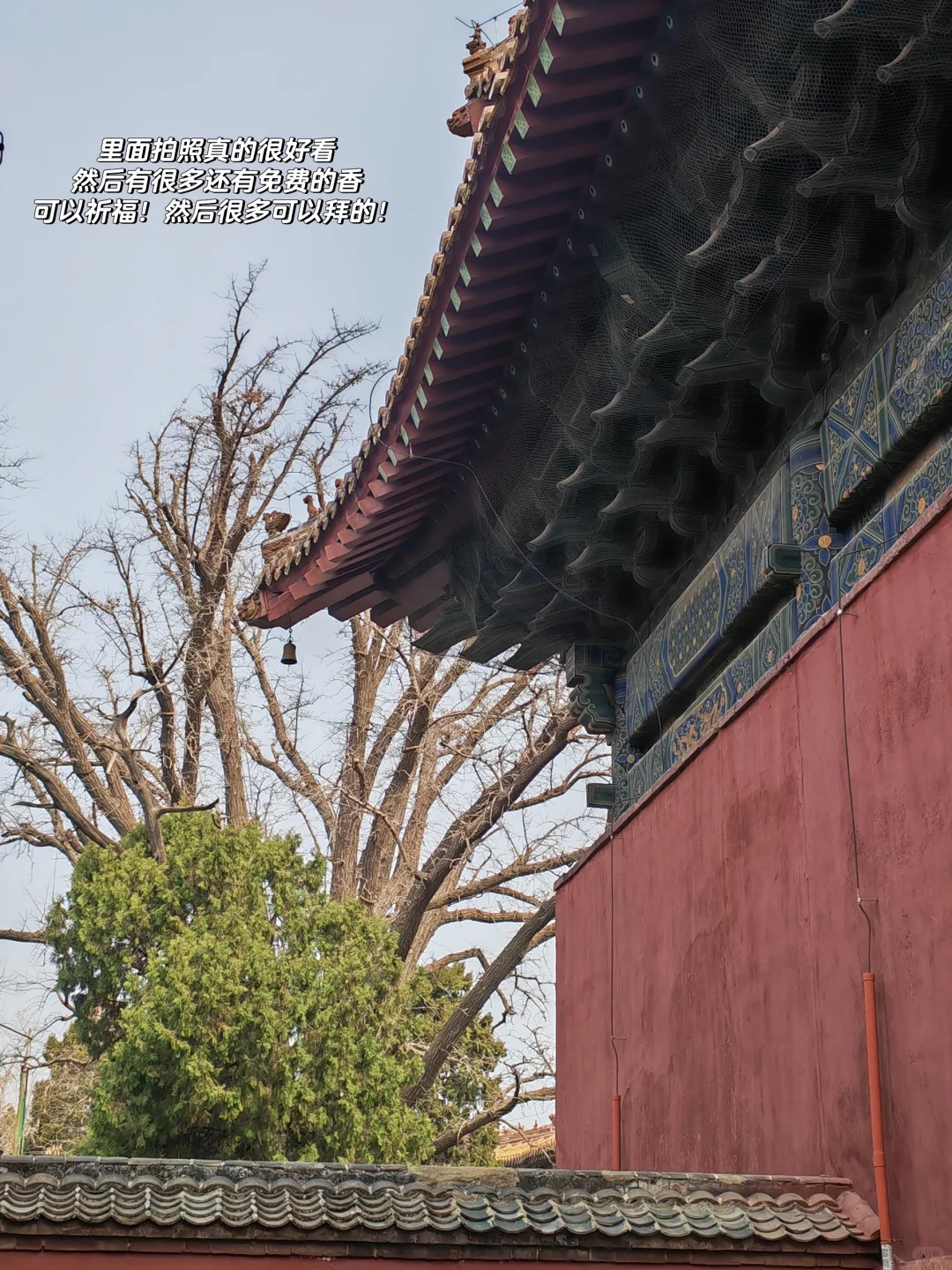 大学生周末特种兵之一天一晚！（纯玩版）