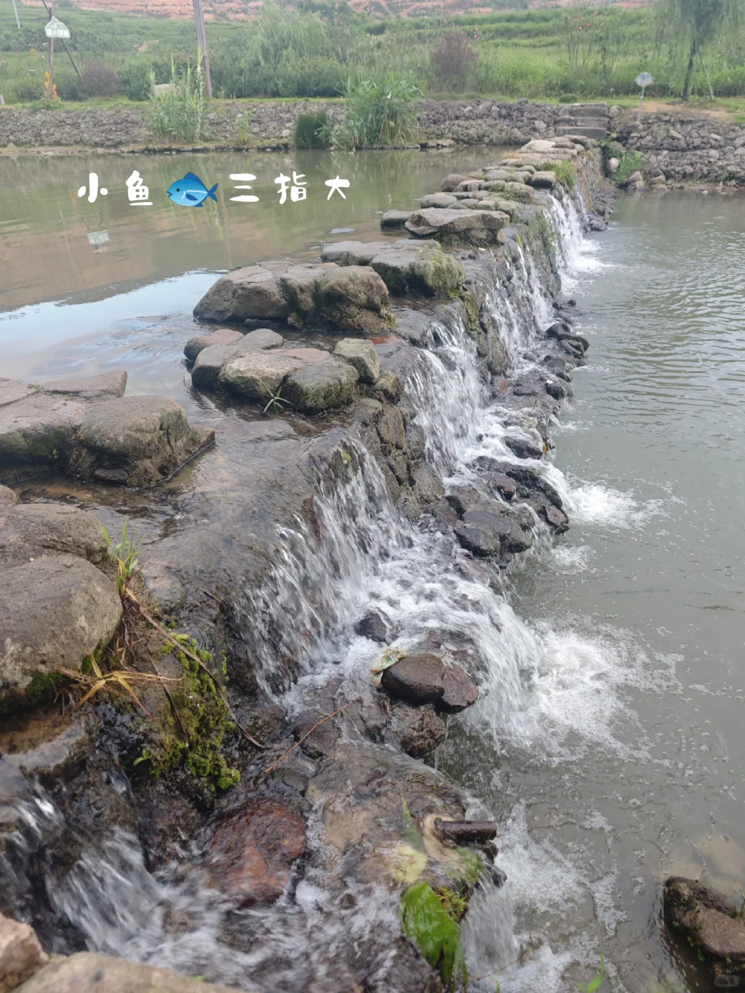 佛山遛娃*下午露营🏕️有娃家庭高明之选