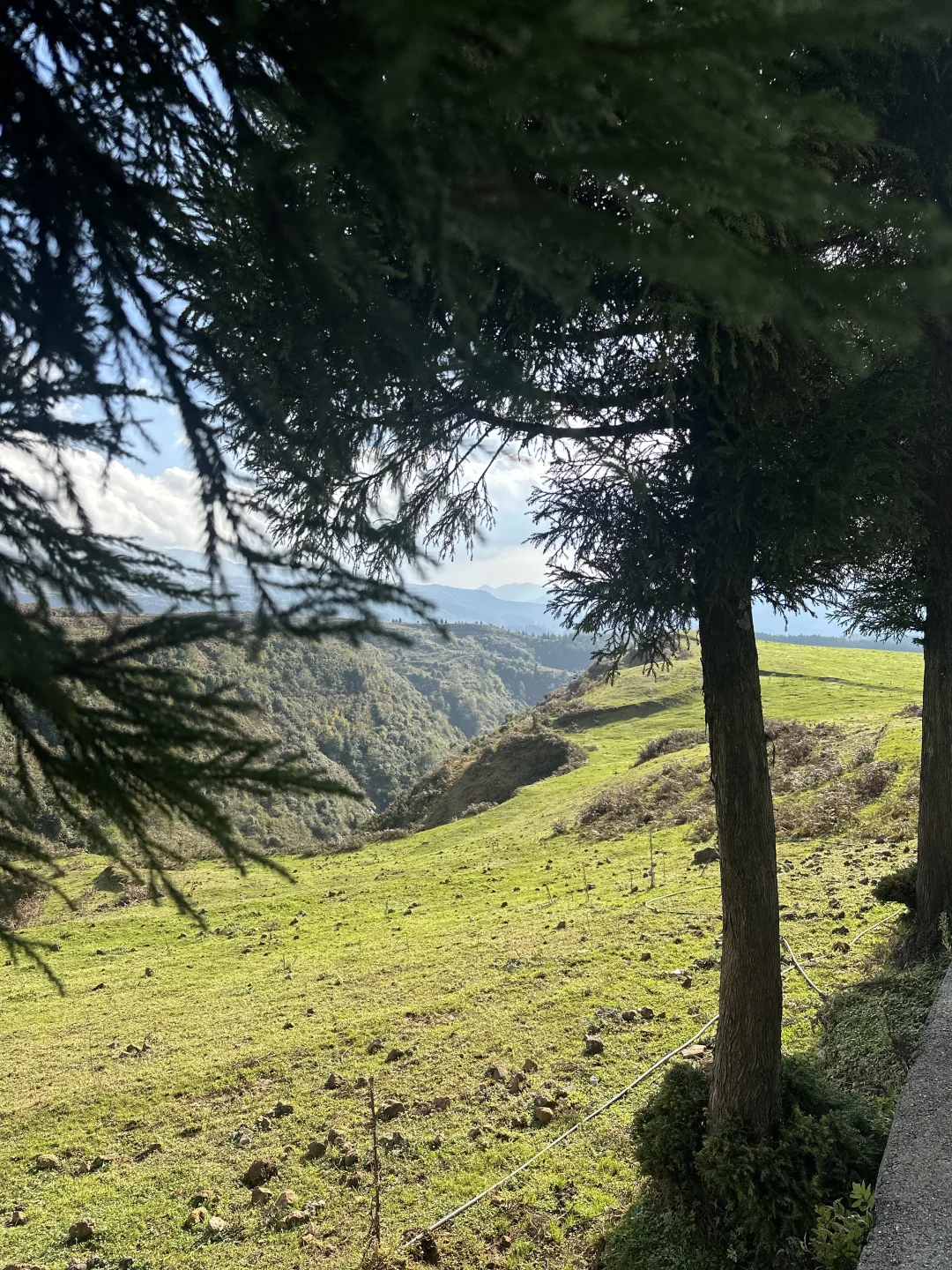 贵州你糊涂呀！贵州人的“阿勒泰”你不宣传？