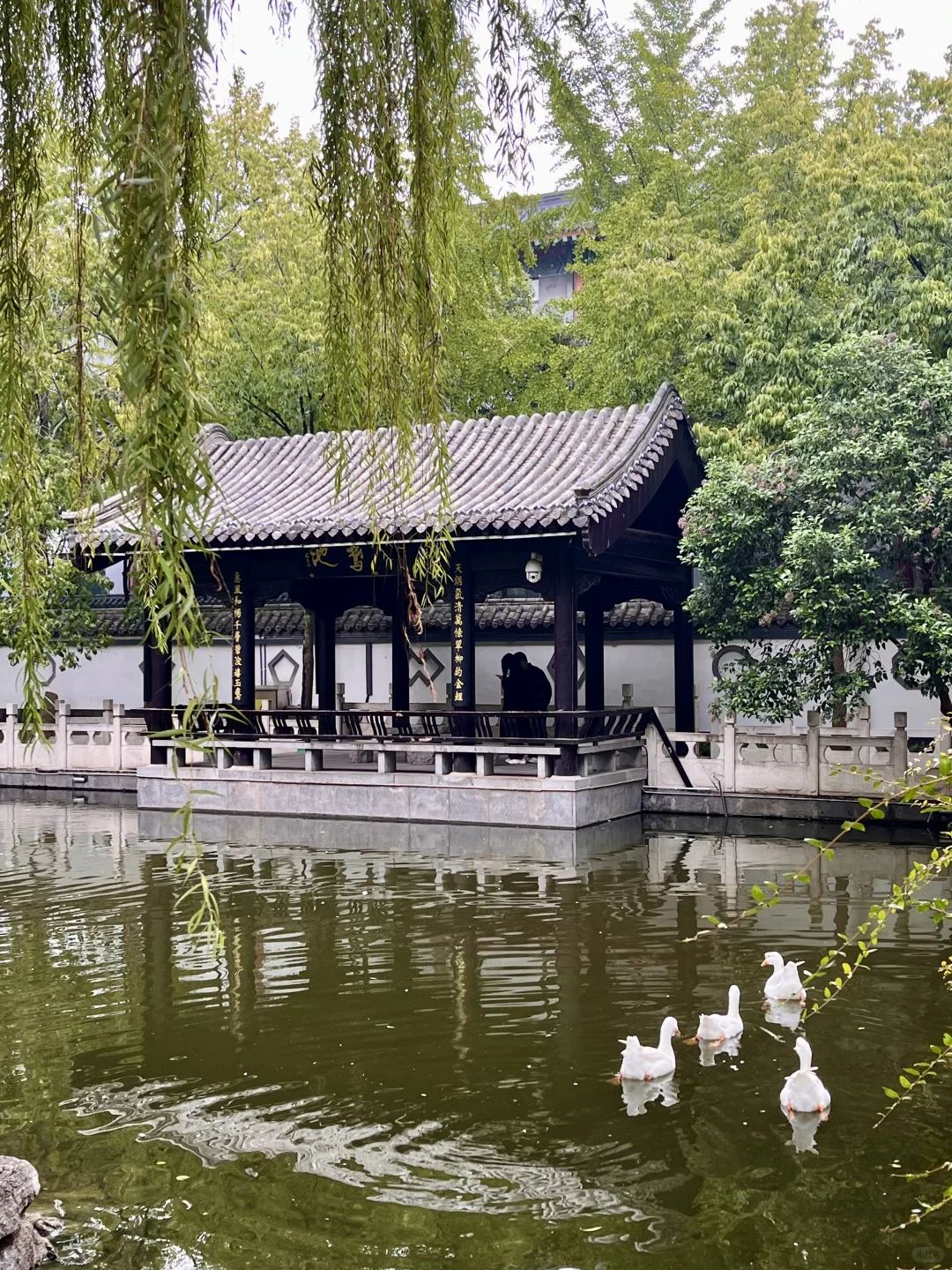 游临沂，观书圣故里，感琅琊古韵… …