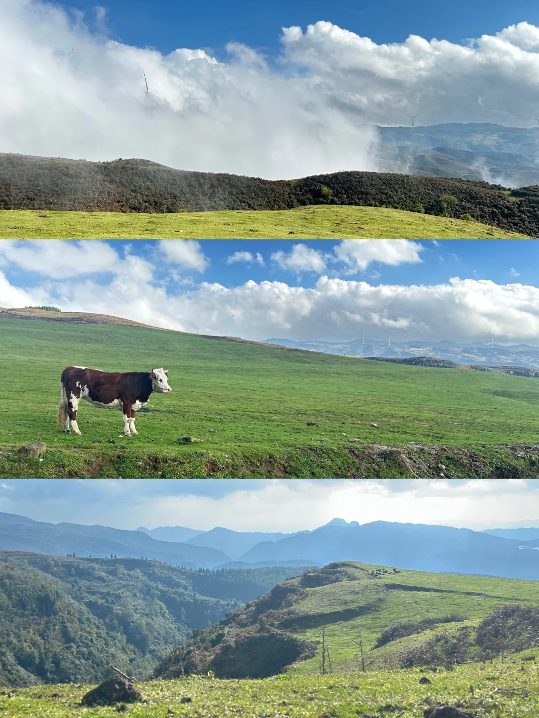 贵州你糊涂呀！贵州人的“阿勒泰”你不宣传？