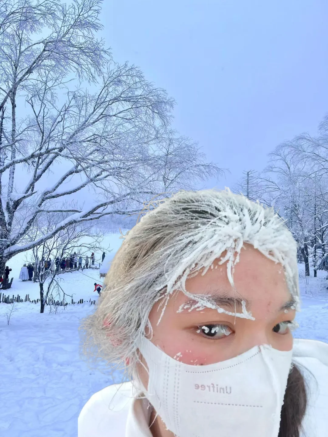 阿勒泰去年12月实拍,😅尽早改行程吧