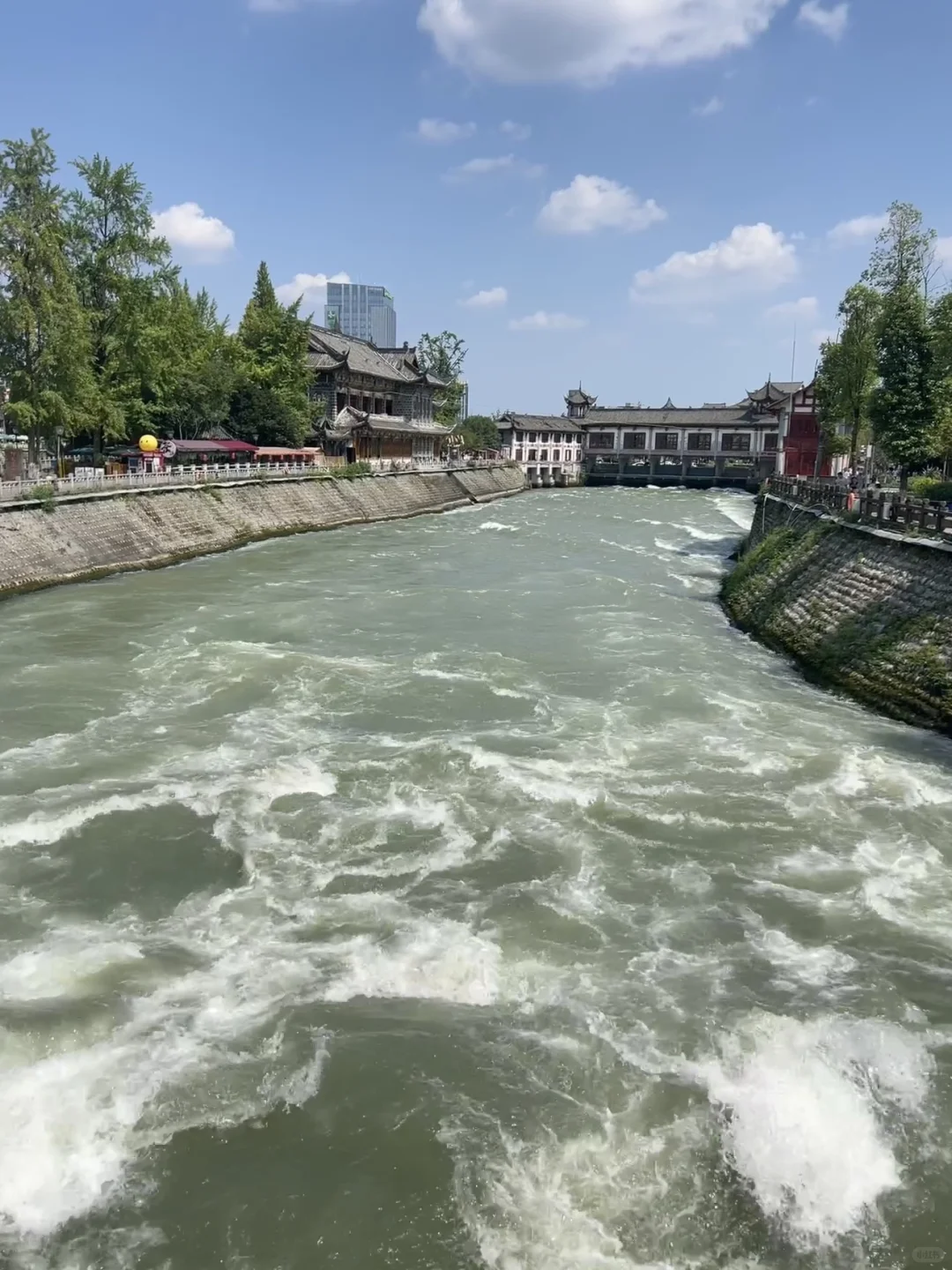 成都包车党狂喜❗️三星堆+都江堰1日游