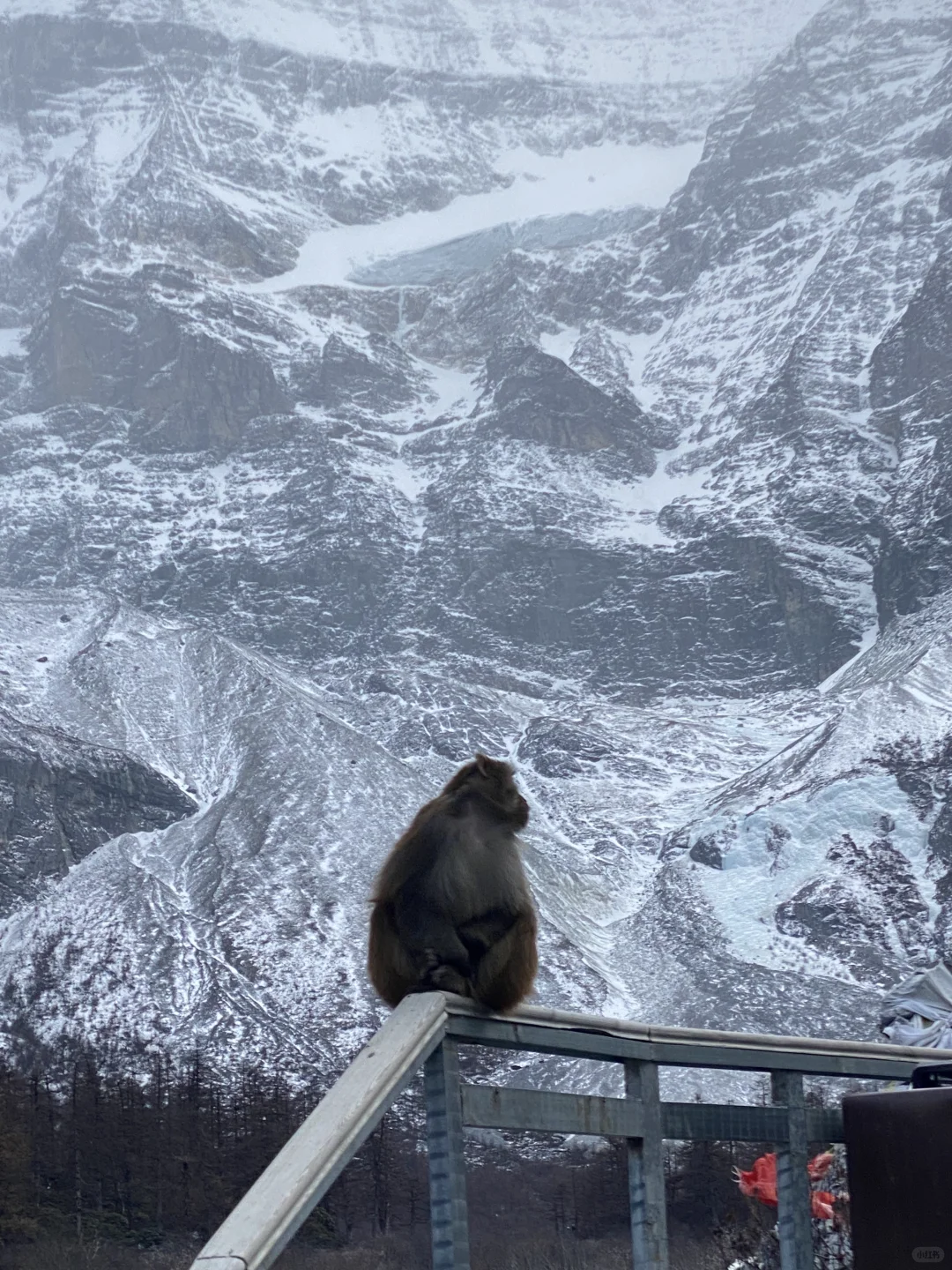 3月3号的稻城亚丁,川西实在劝退不了